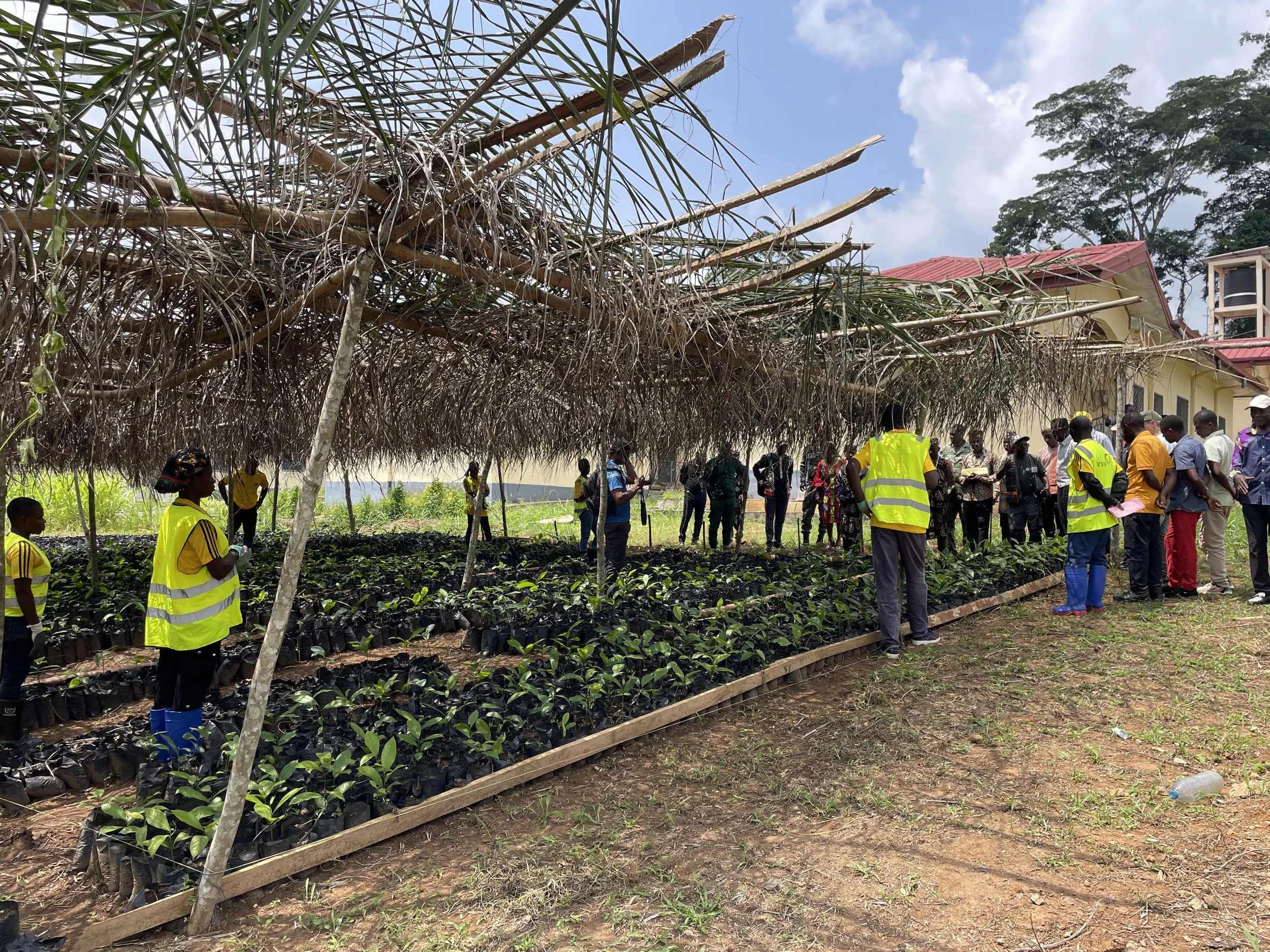 Pépinière NDOO 3.JPG