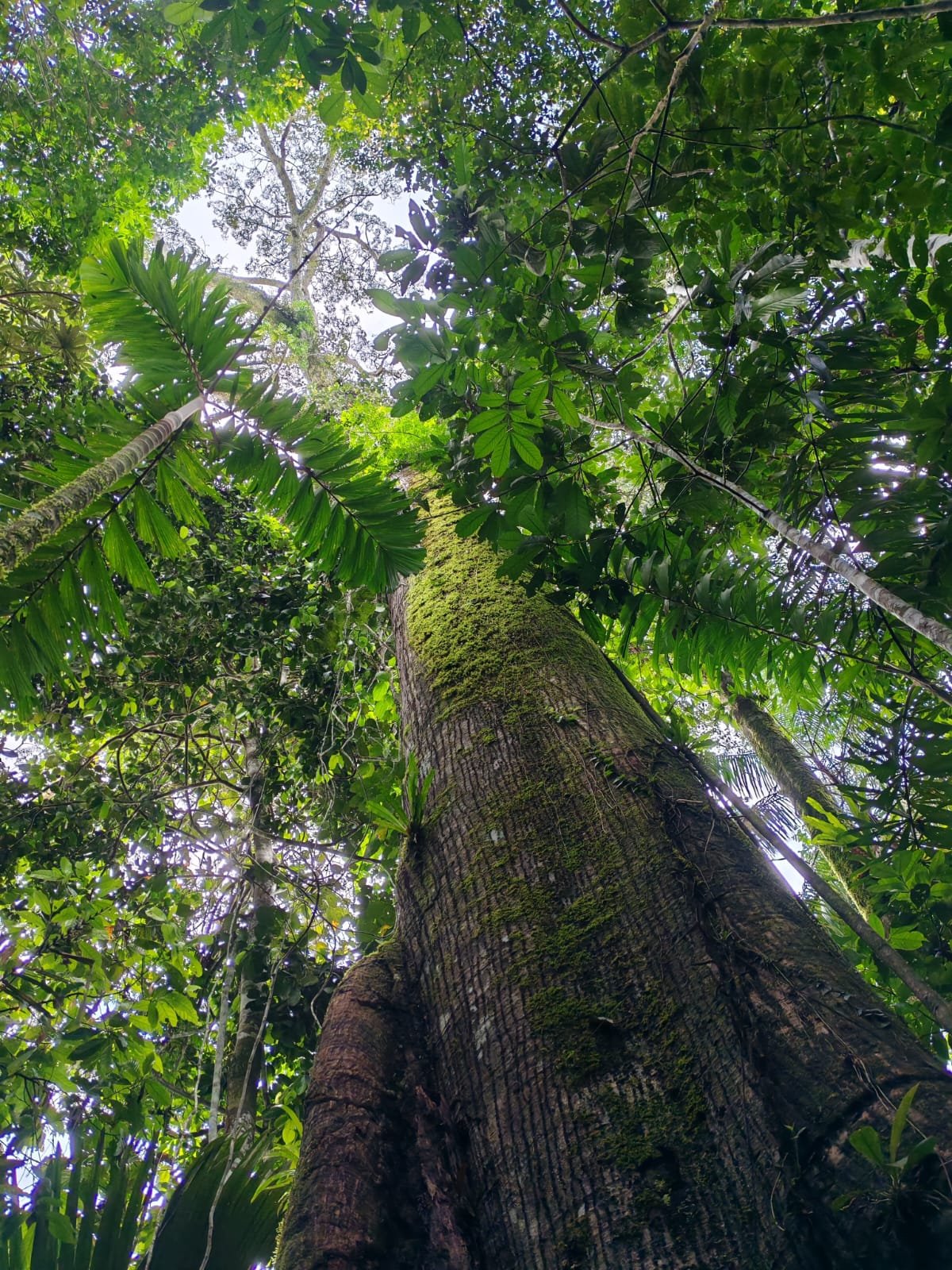 WhatsApp Image 2025-05-27 à 02.28.30_1c6df630.jpg