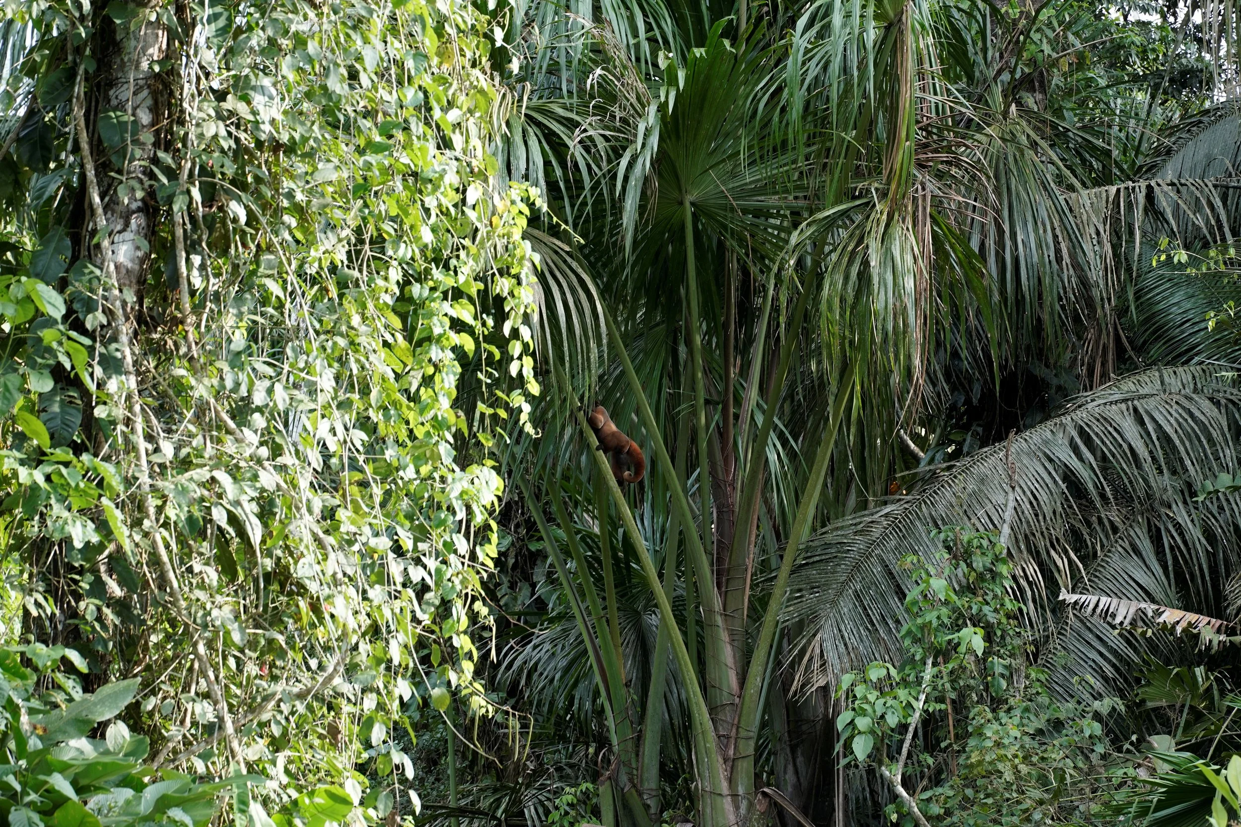 _DSC3448bis.JPG