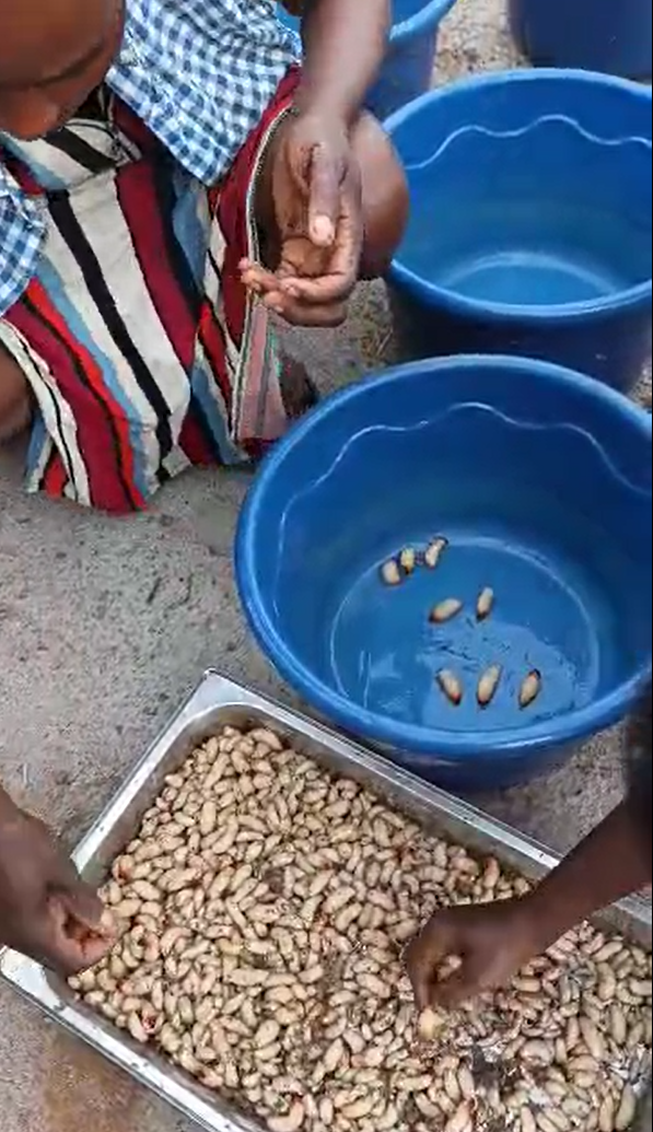 FOSS - Calibrage.png