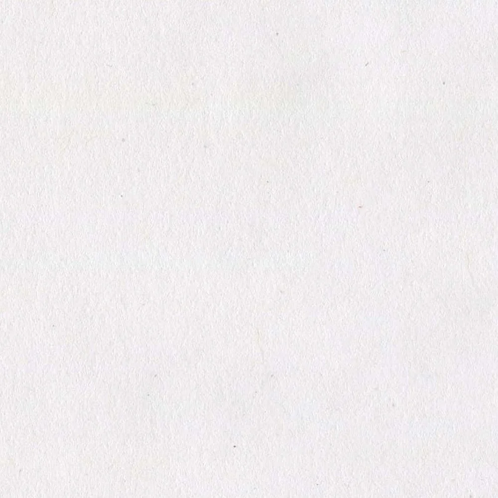 Duplikat Risograph Printing