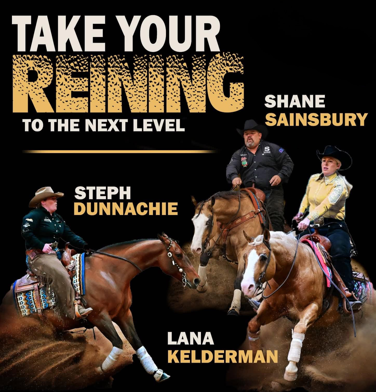 Shane, Steph, Lana Trainers logo.png