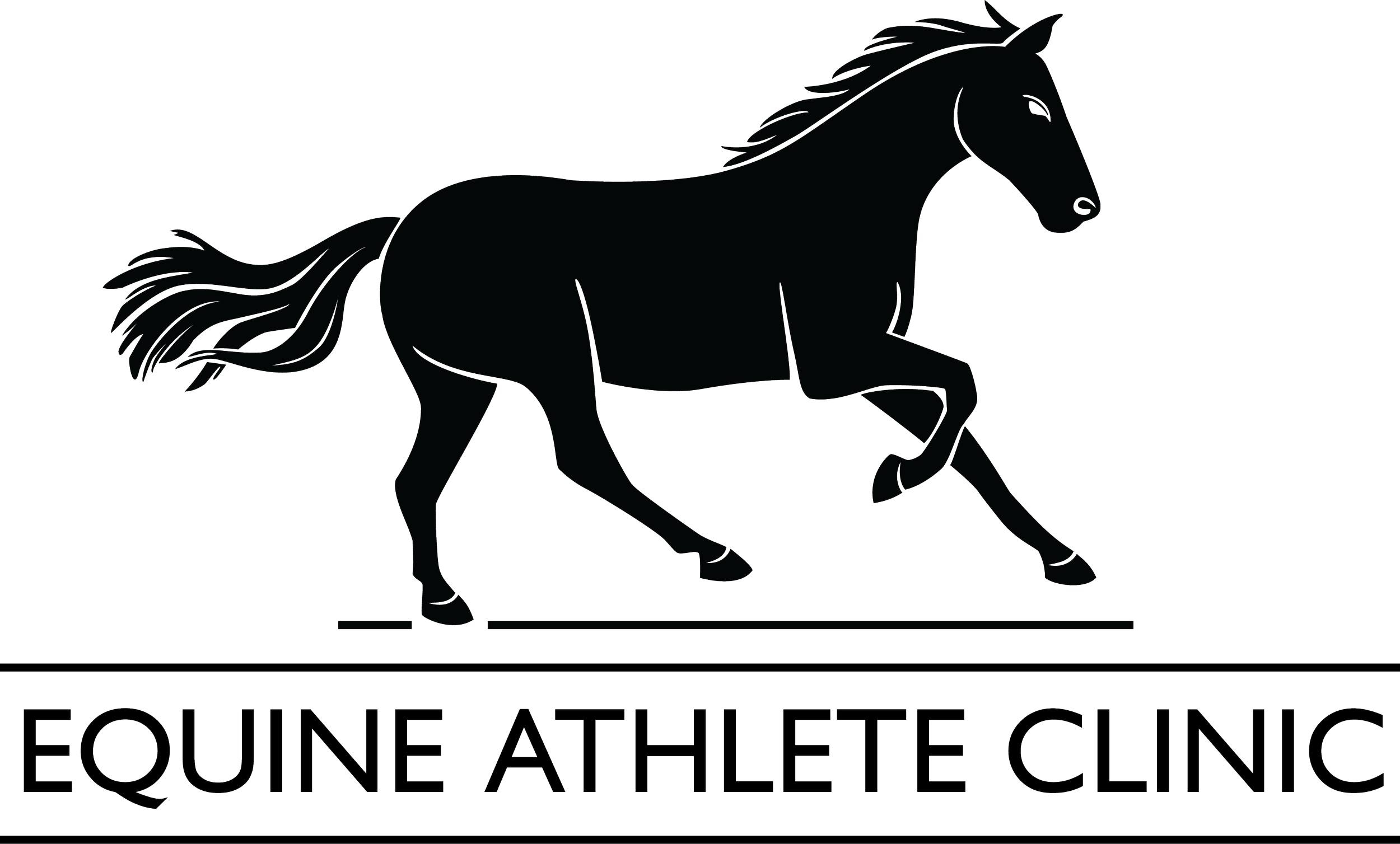 Equine Athelete Clinic2.png