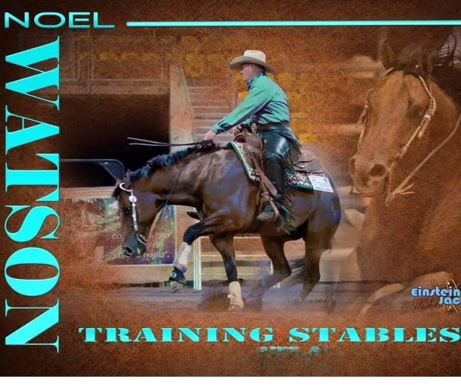 Noel Watson Sponsor.jpg