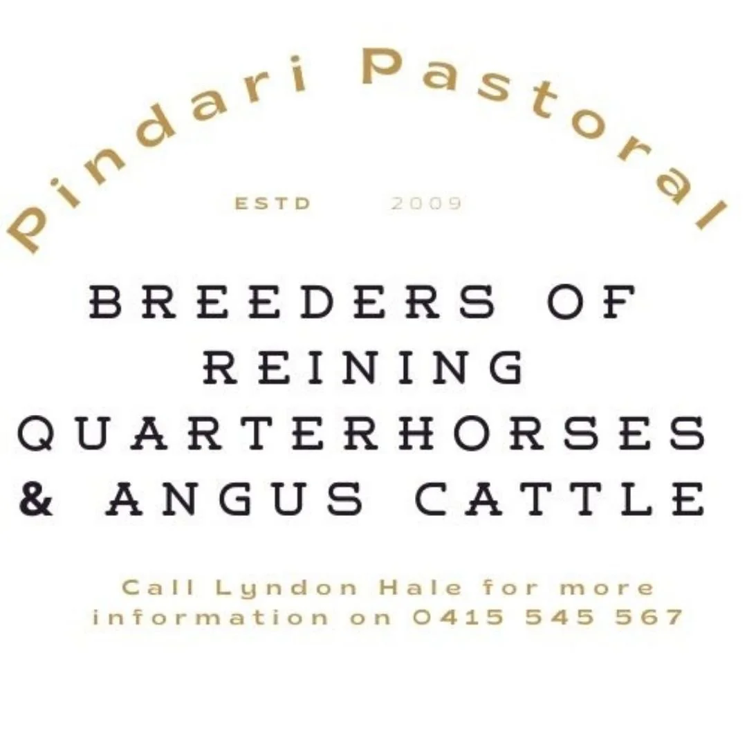 PINDARI PASTORAL.jpg