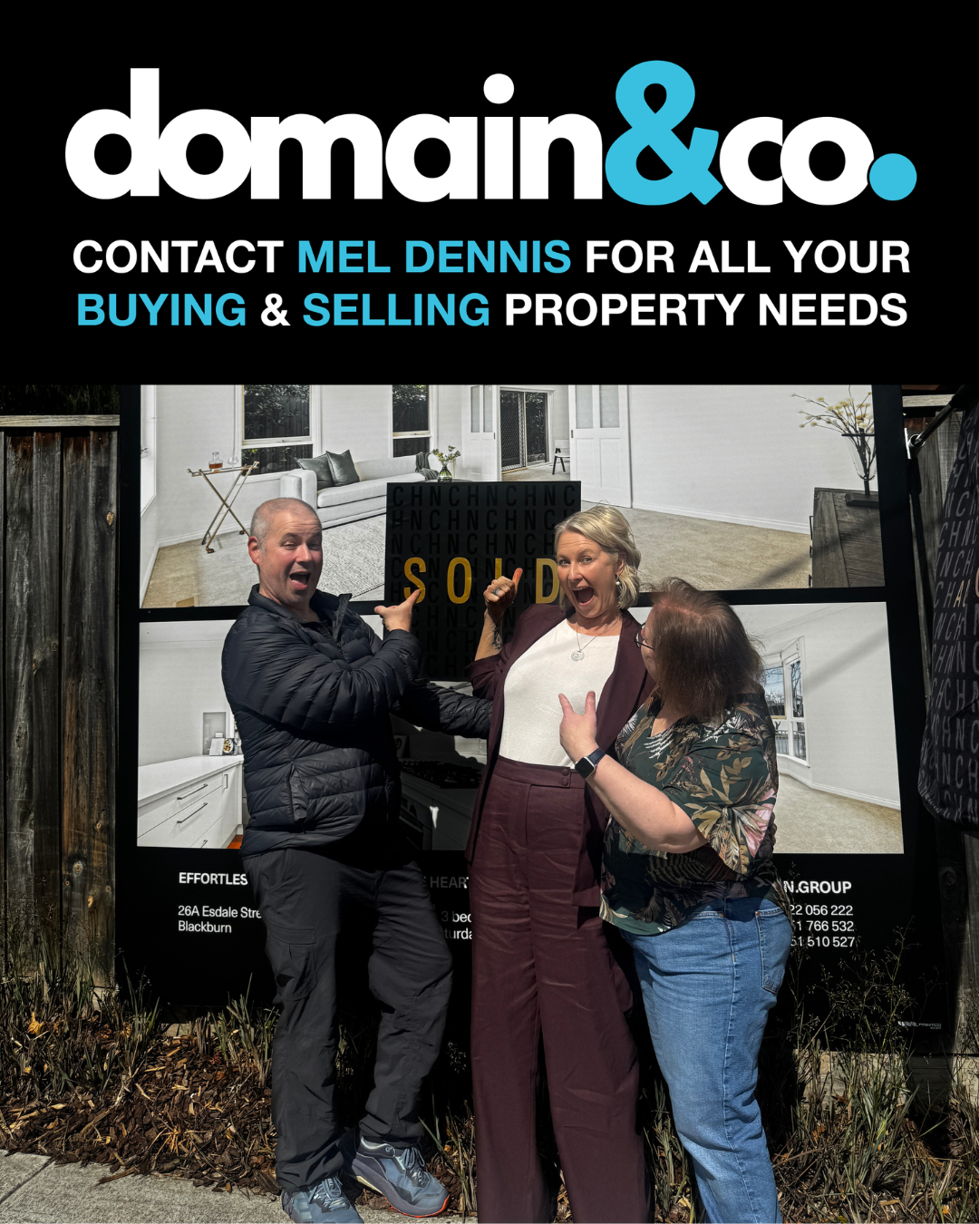 Domain & Co.png