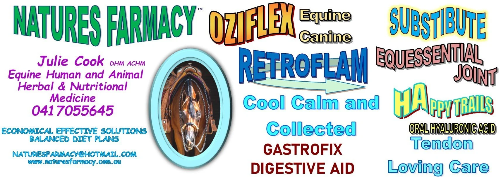 Natures Farmacy logo.jpg