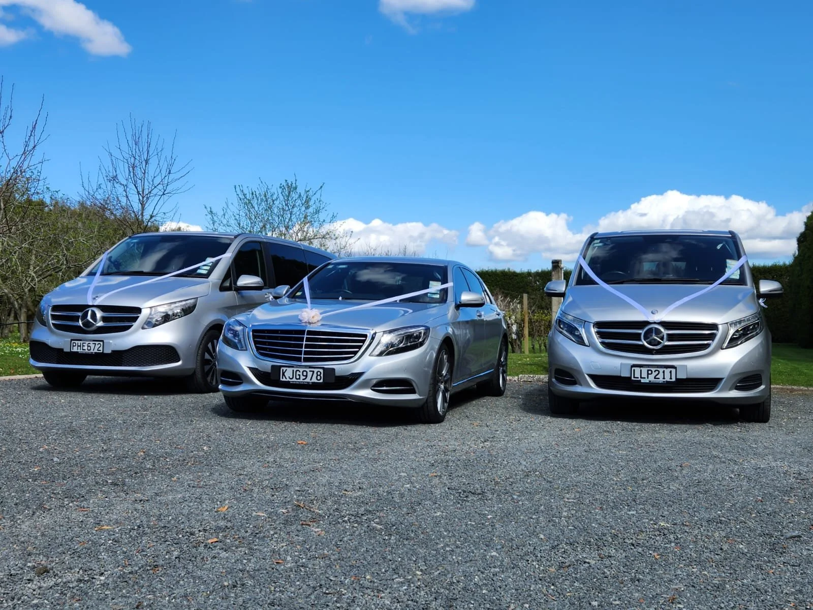 2x silver v-class and S350 Markovina pic 2.jpeg