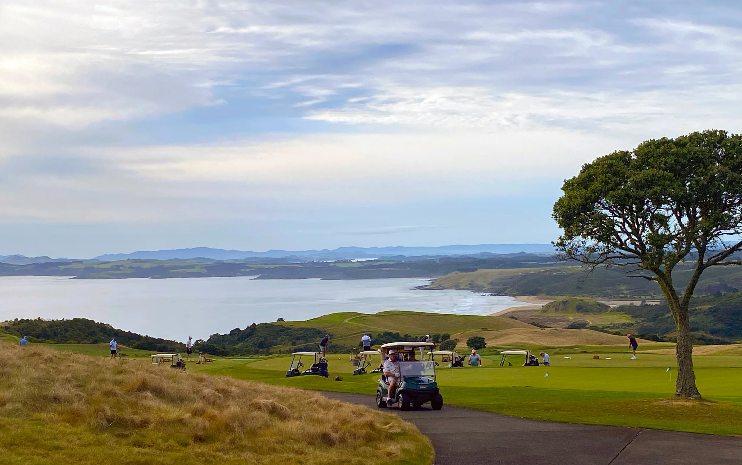 Golf course with players, golf carts, and a large tree overlooking a body of water and rolling hills in the background.
