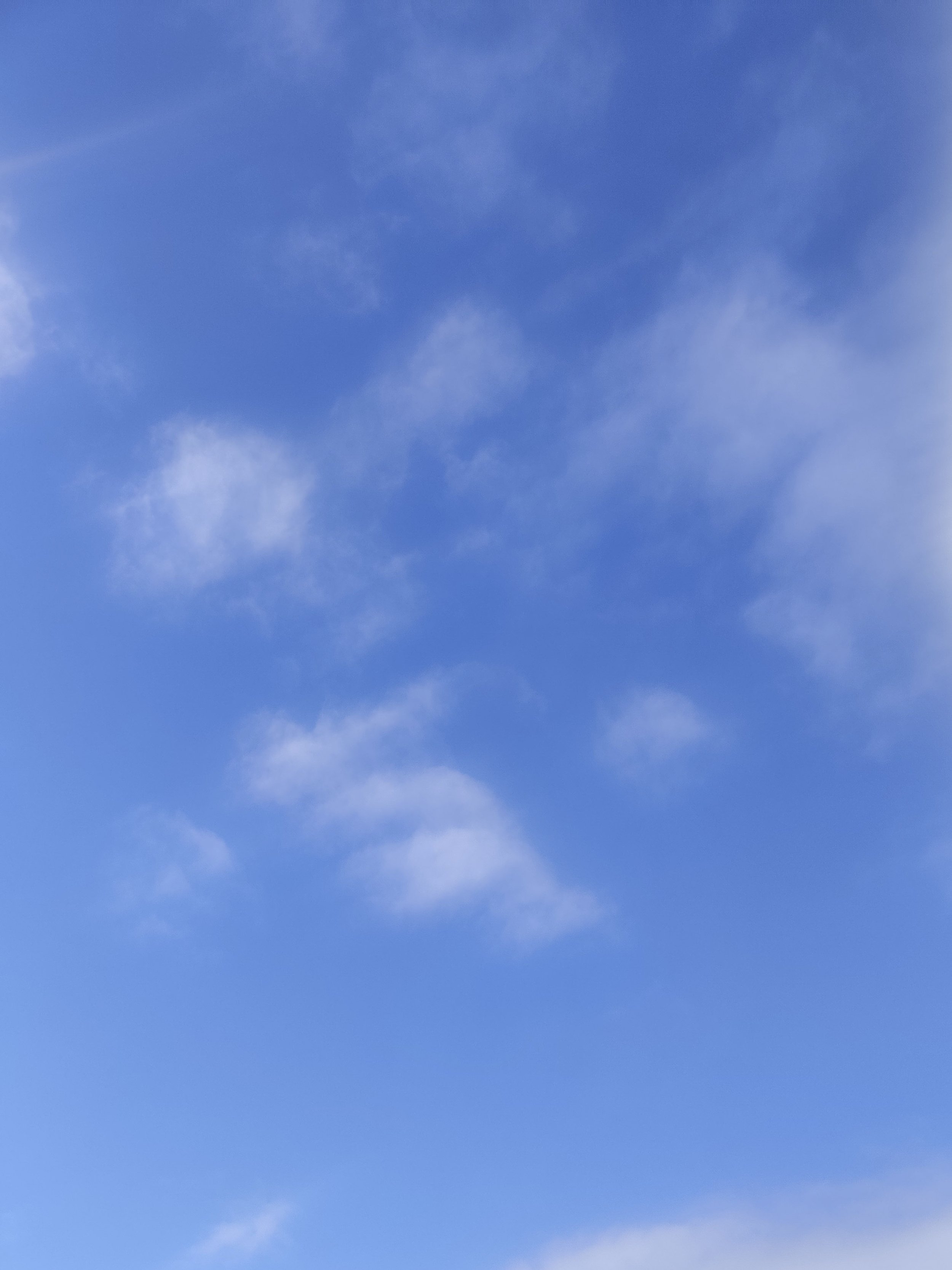 54-IMG_20230318_114819__01.jpg