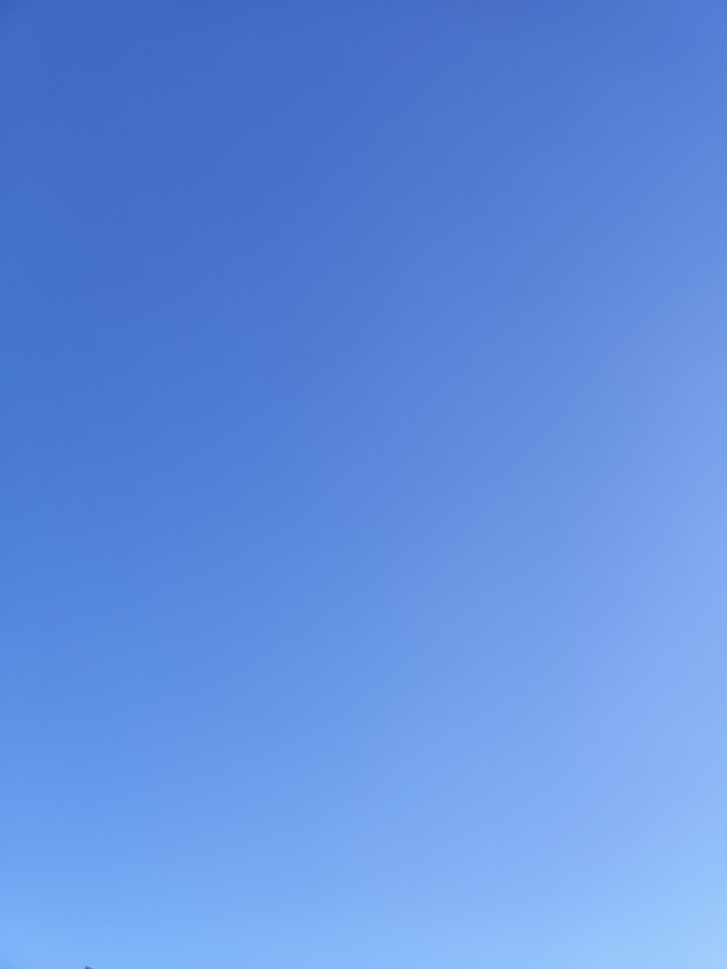 45-IMG_20230311_141515.jpg