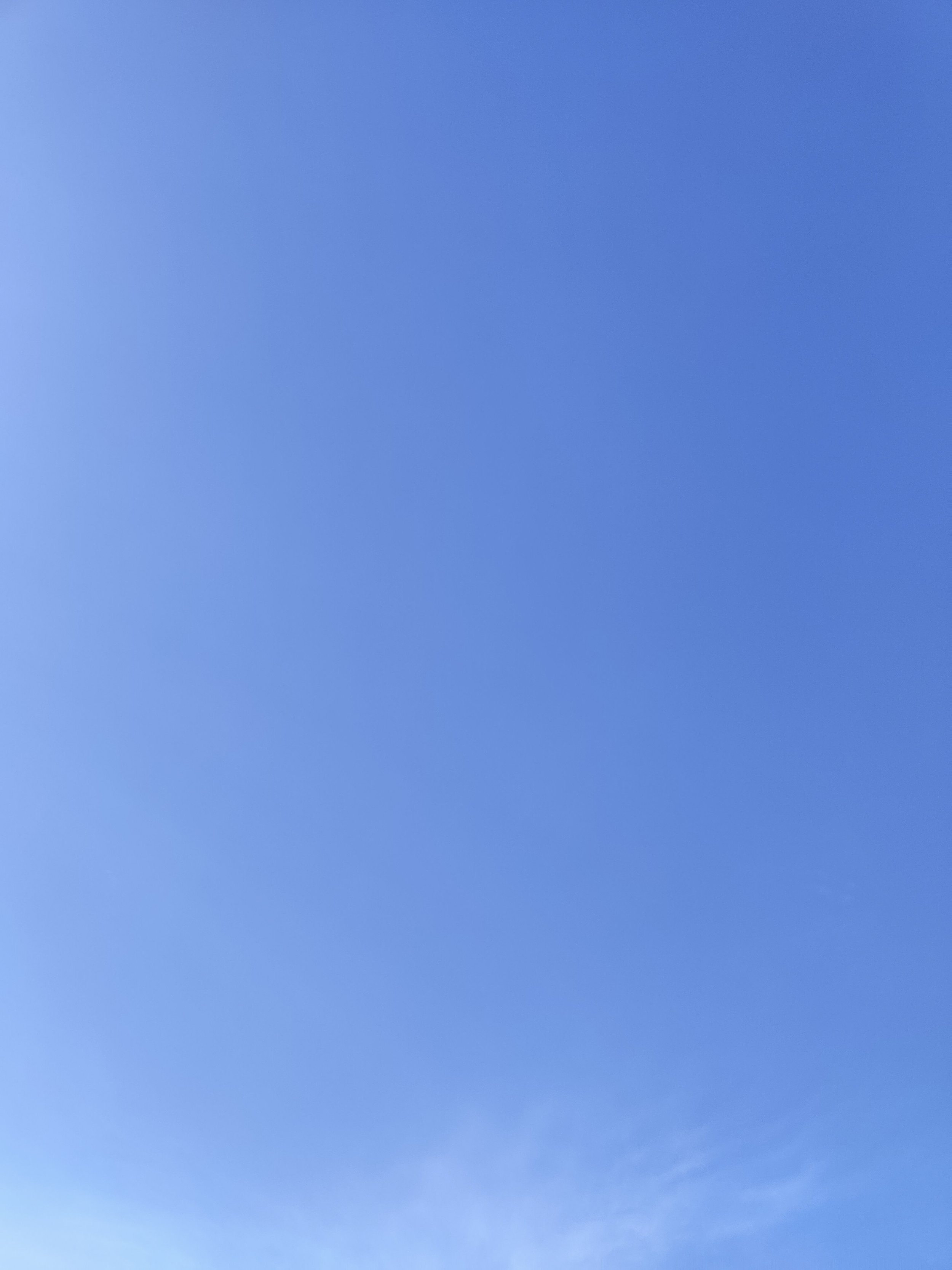 57-IMG_20230320_125956.jpg