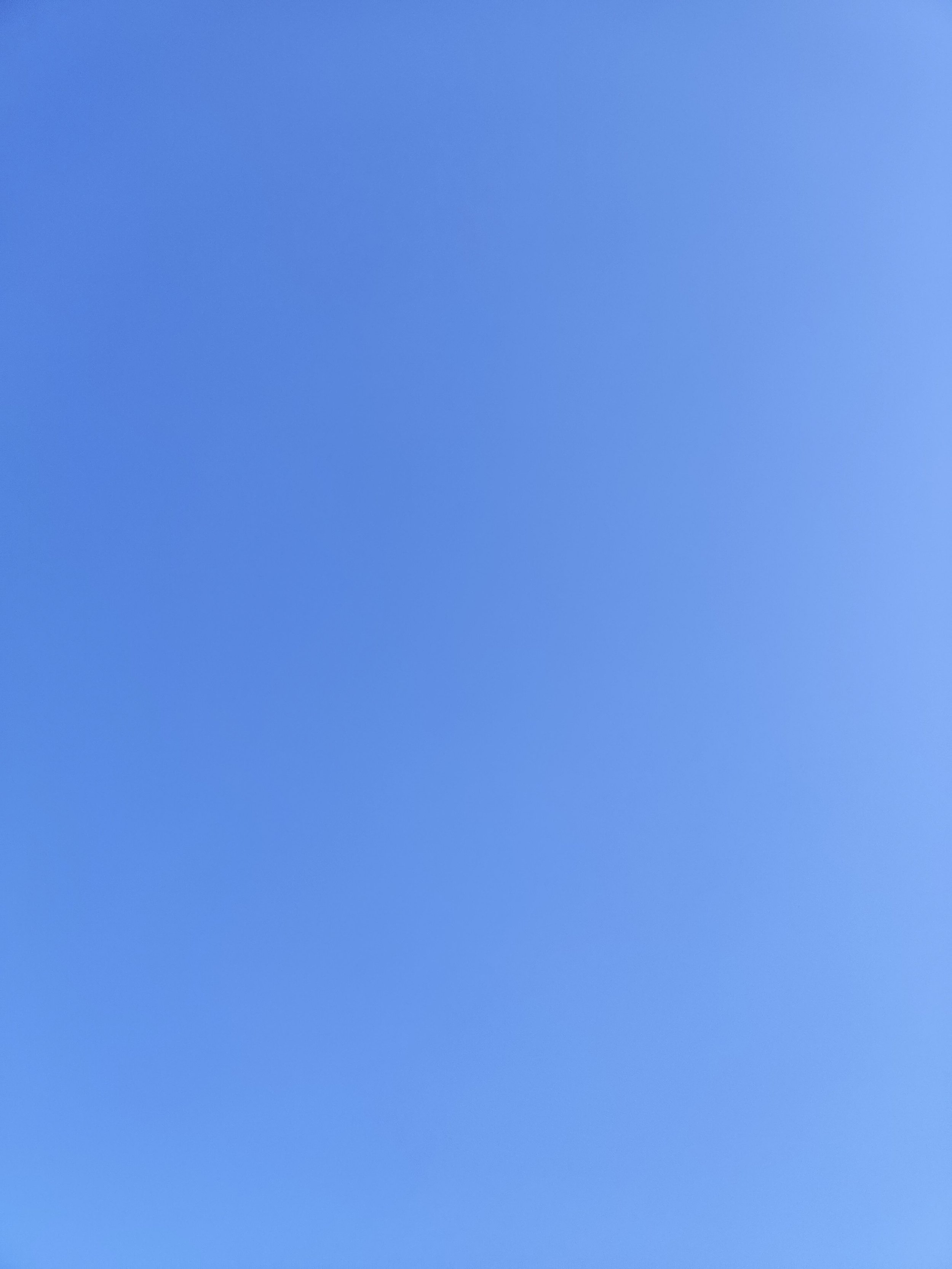33-IMG_20210313_163413.jpg