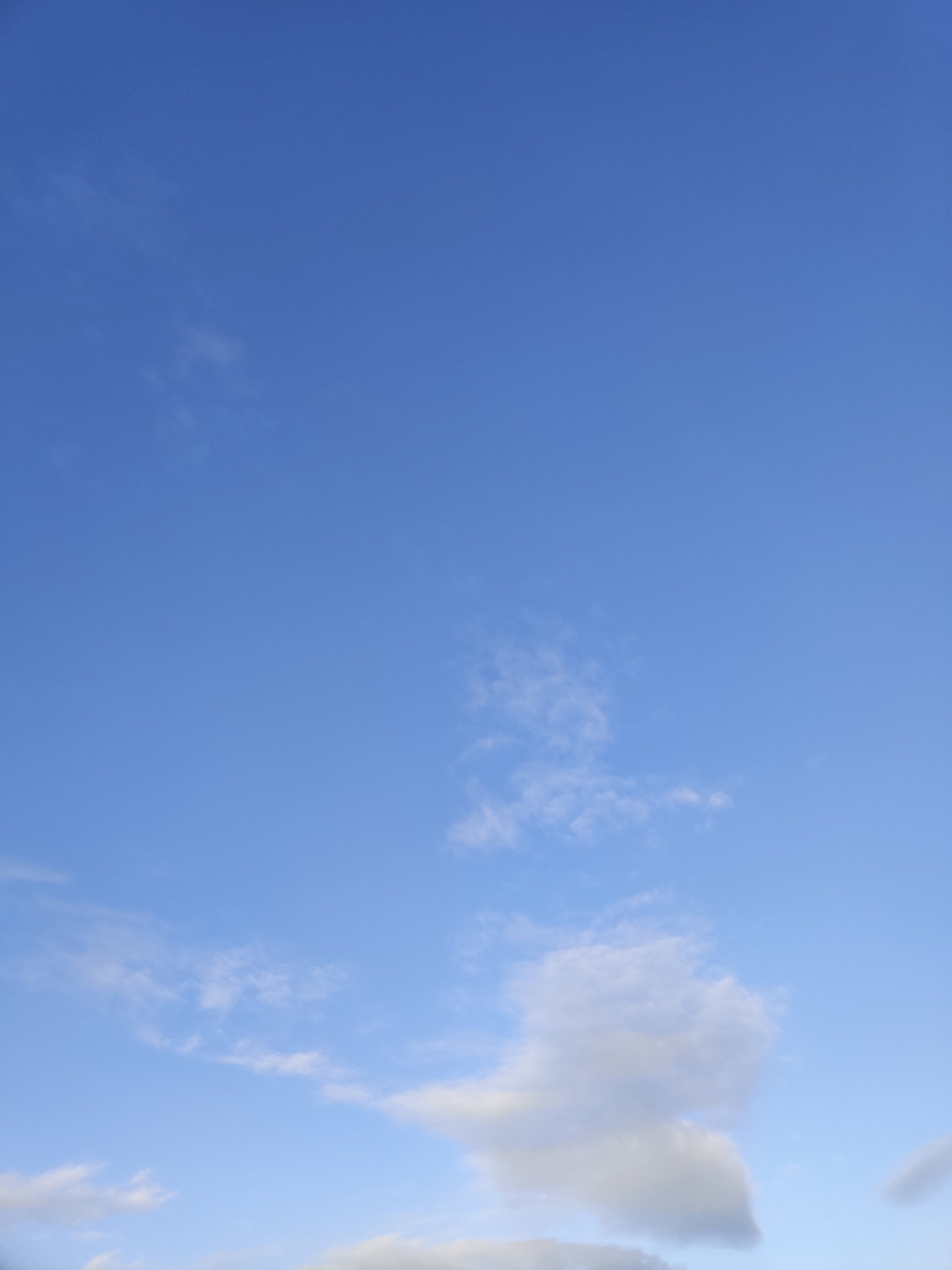 43-IMG_20230310_181318.jpg