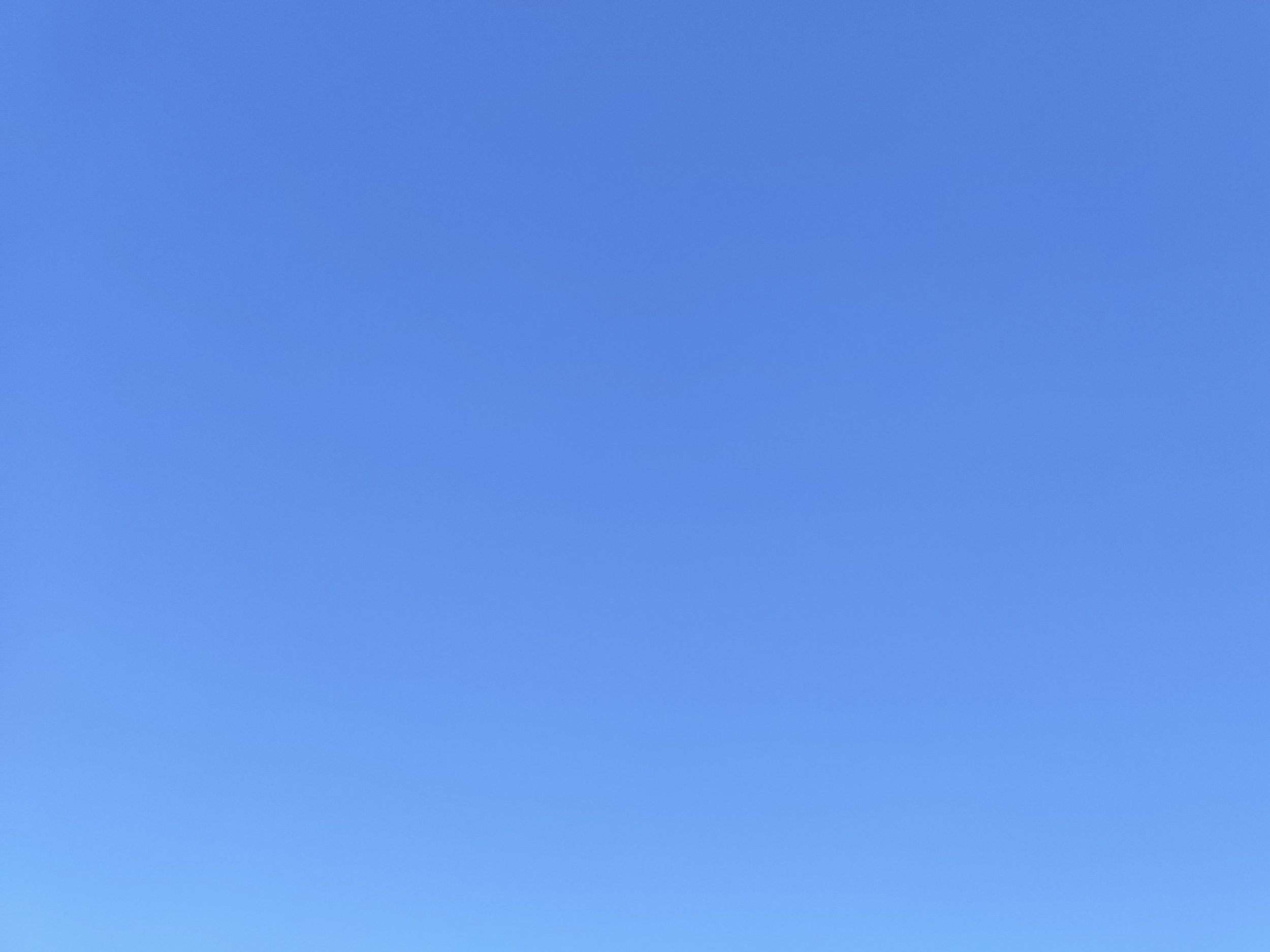 41-IMG_20230308_110317__01.jpg
