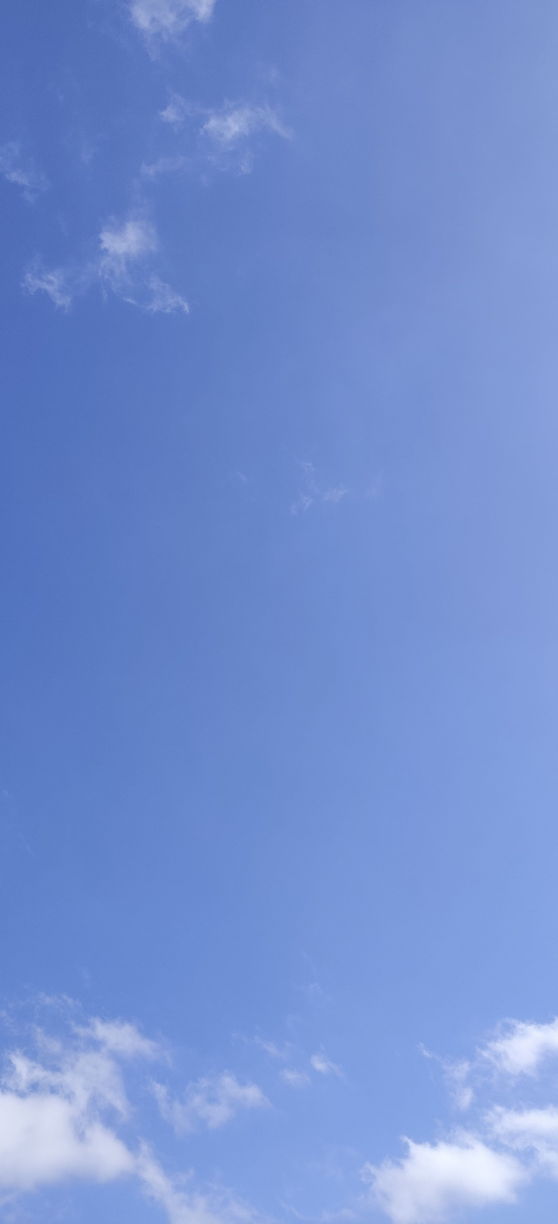 92-IMG_20230420_152713.jpg