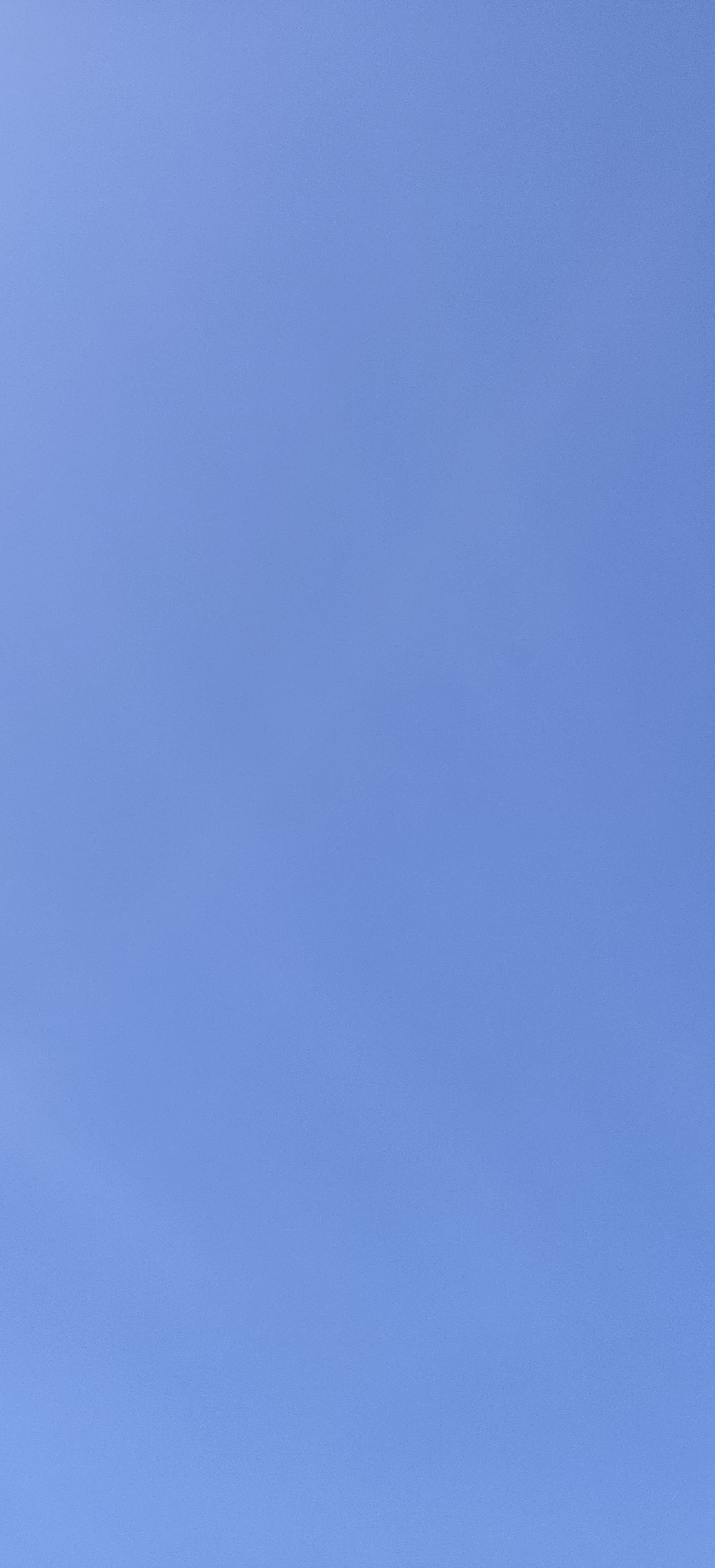 97-IMG_20230425_113252.jpg