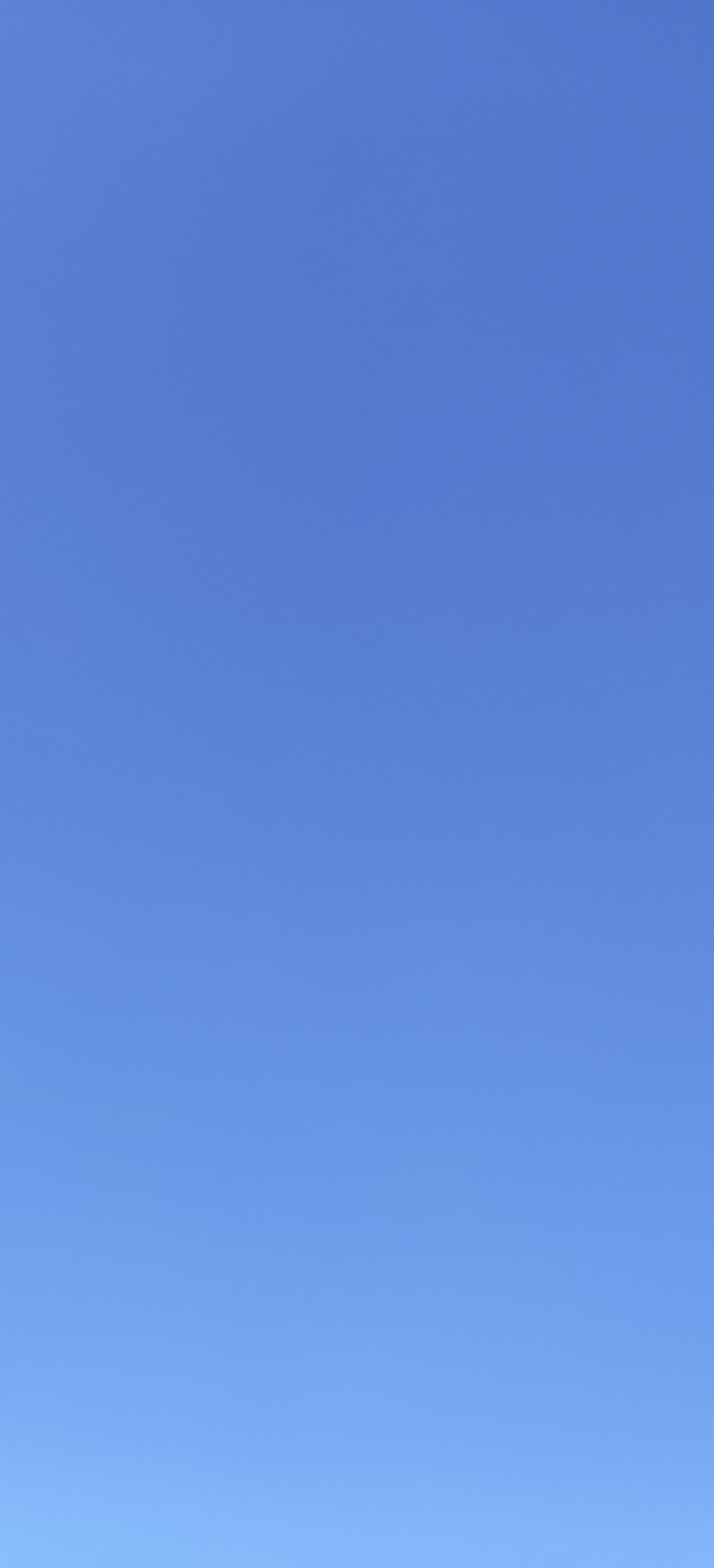 78-IMG_20230410_091746.jpg
