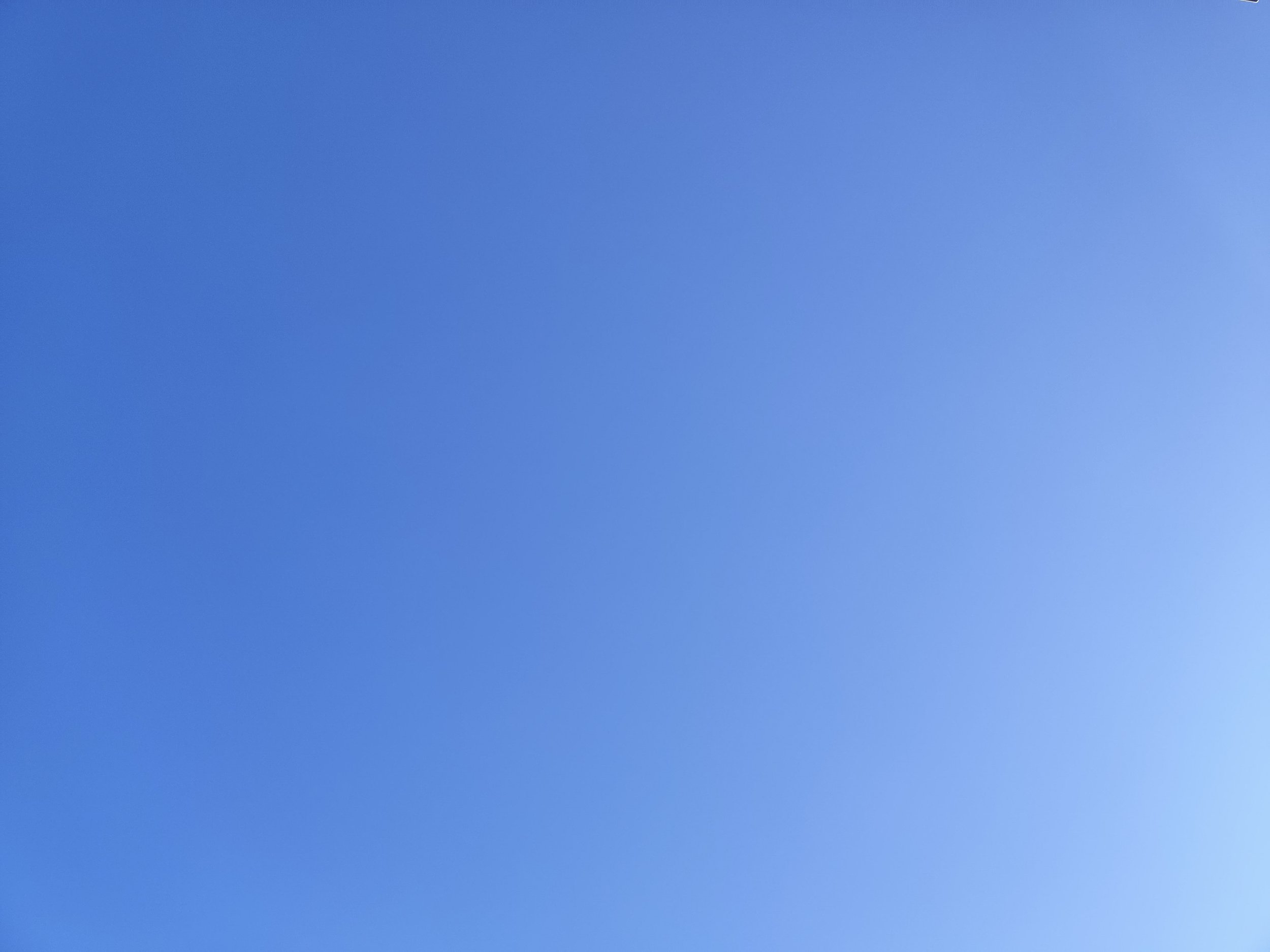 44-IMG_20230311_141508.jpg