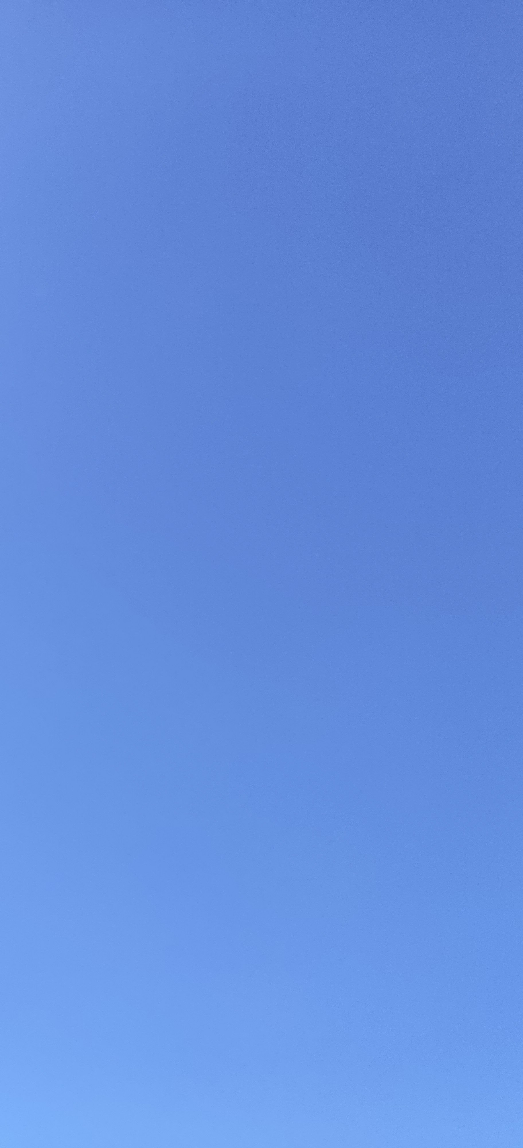 64-IMG_20230324_111818.jpg