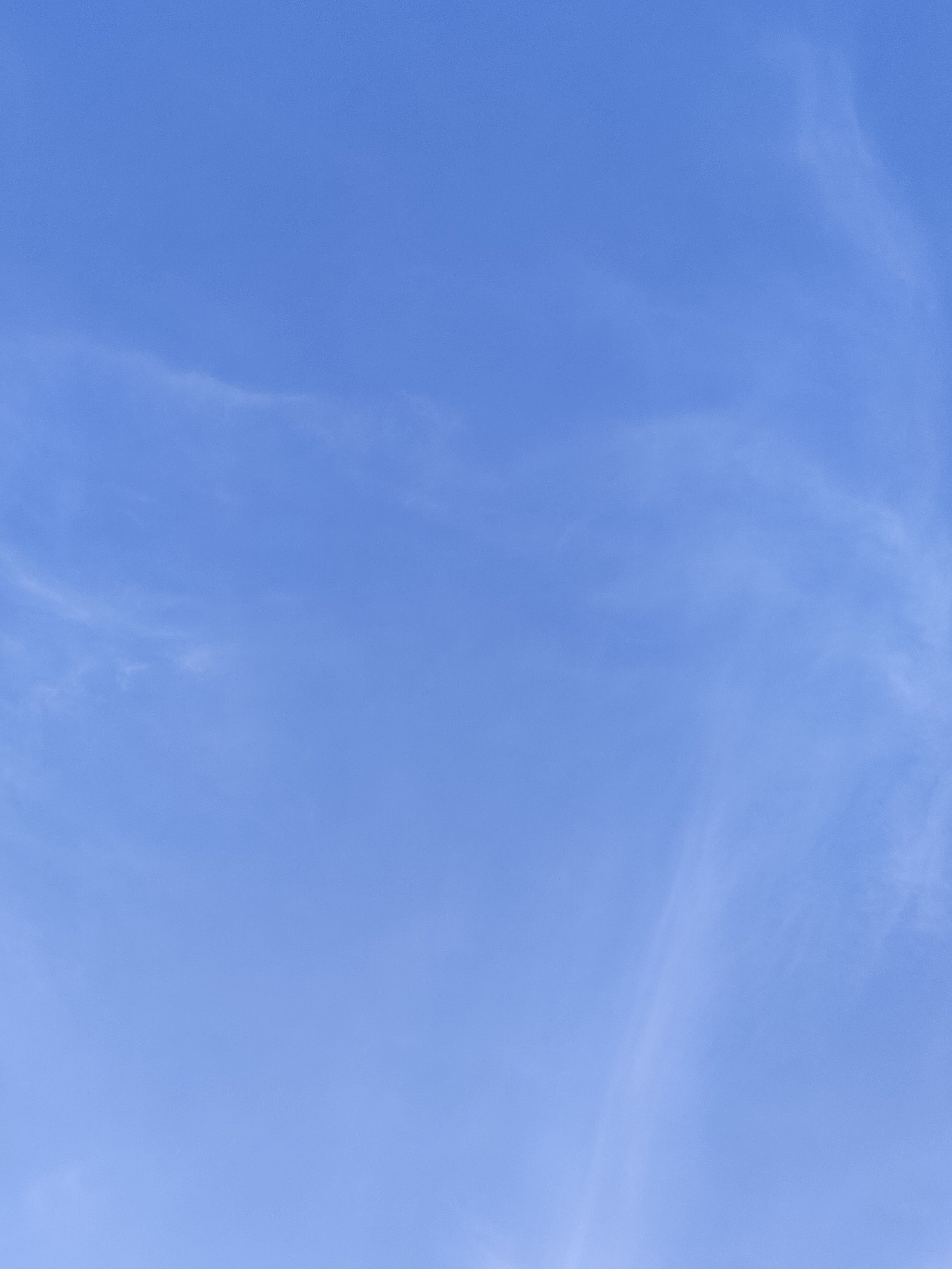 8-IMG_20210124_120135.jpg