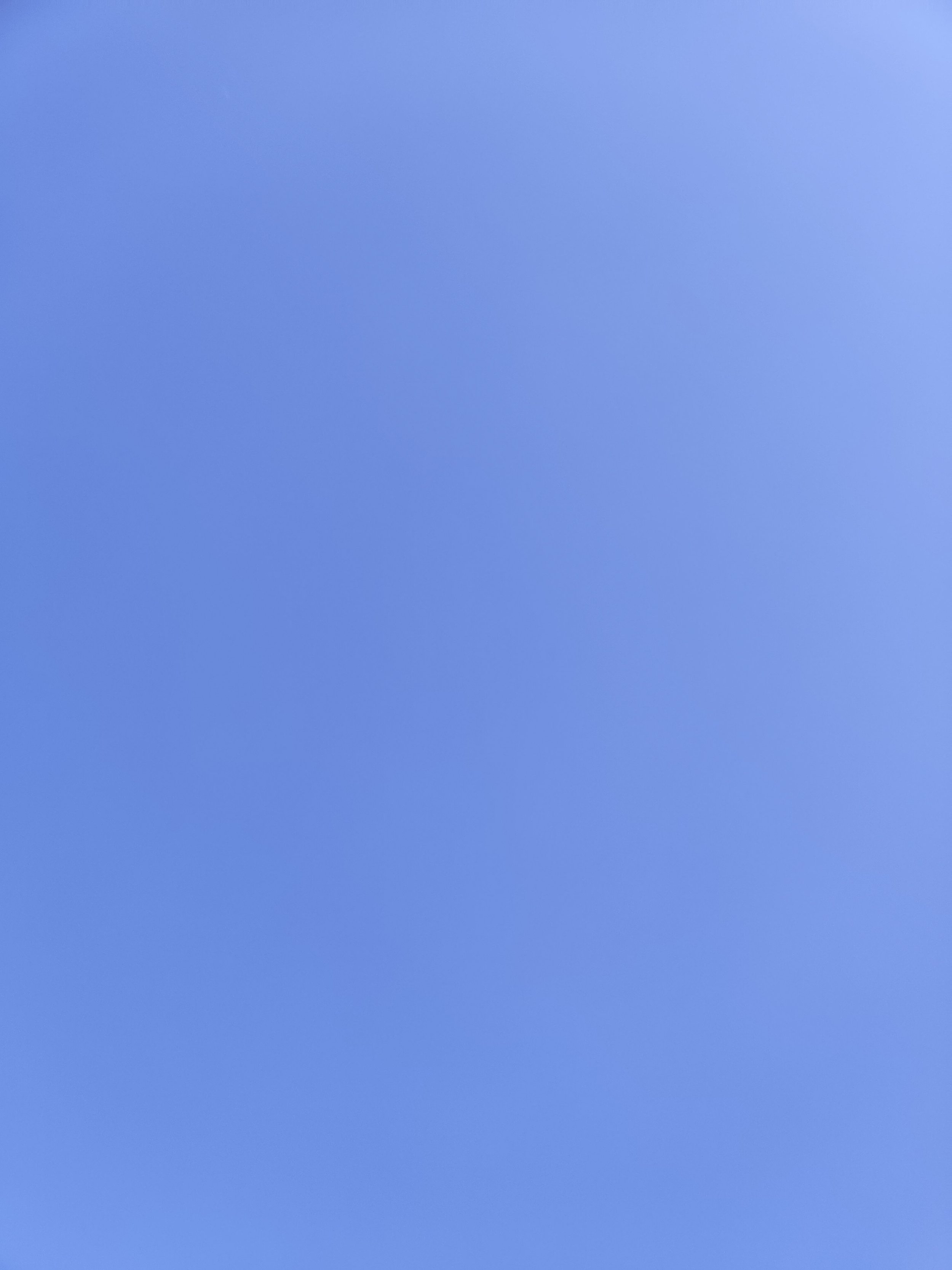 50-IMG_20230315_180645.jpg