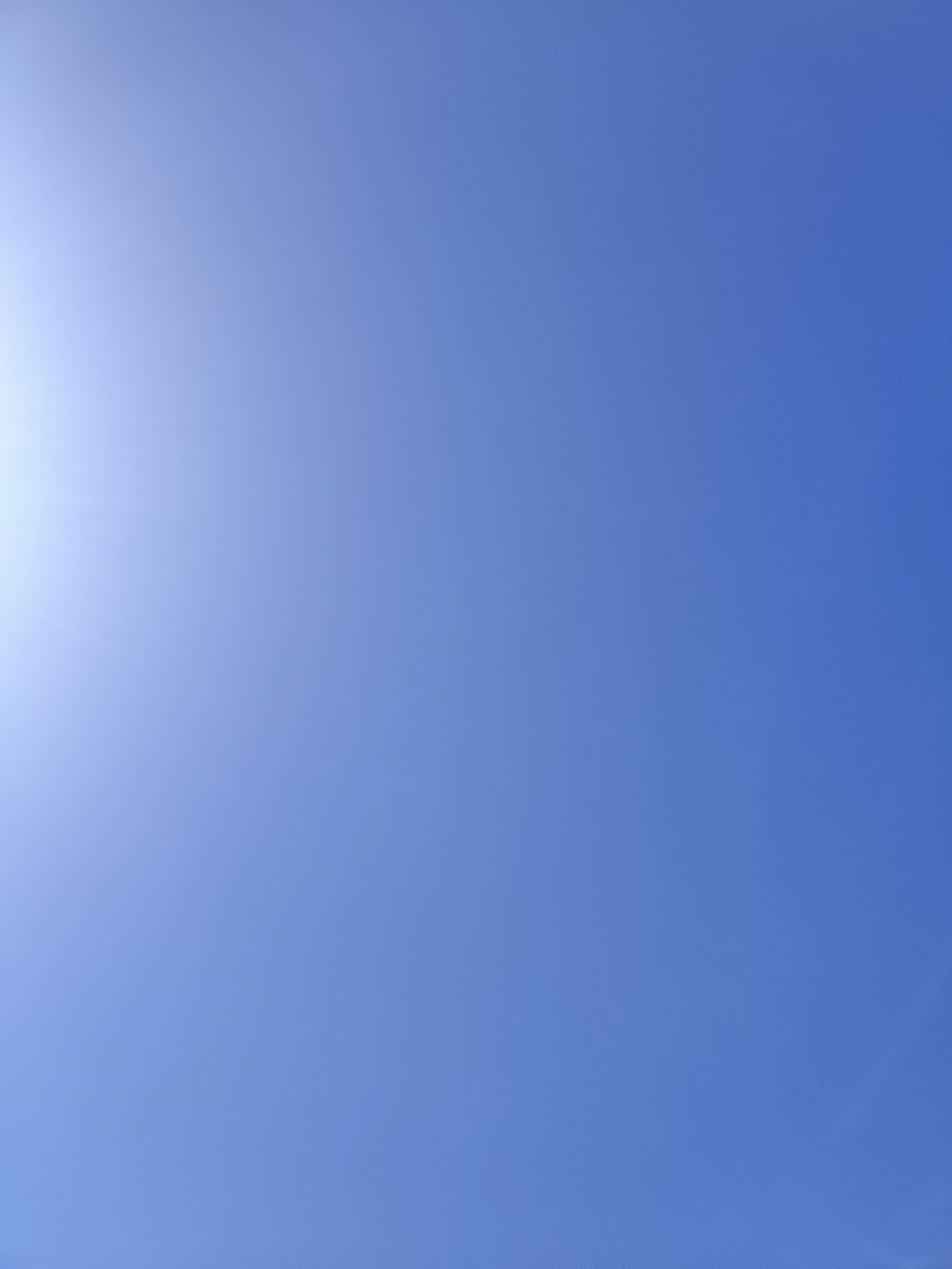 37-IMG_20210502_154324.jpg