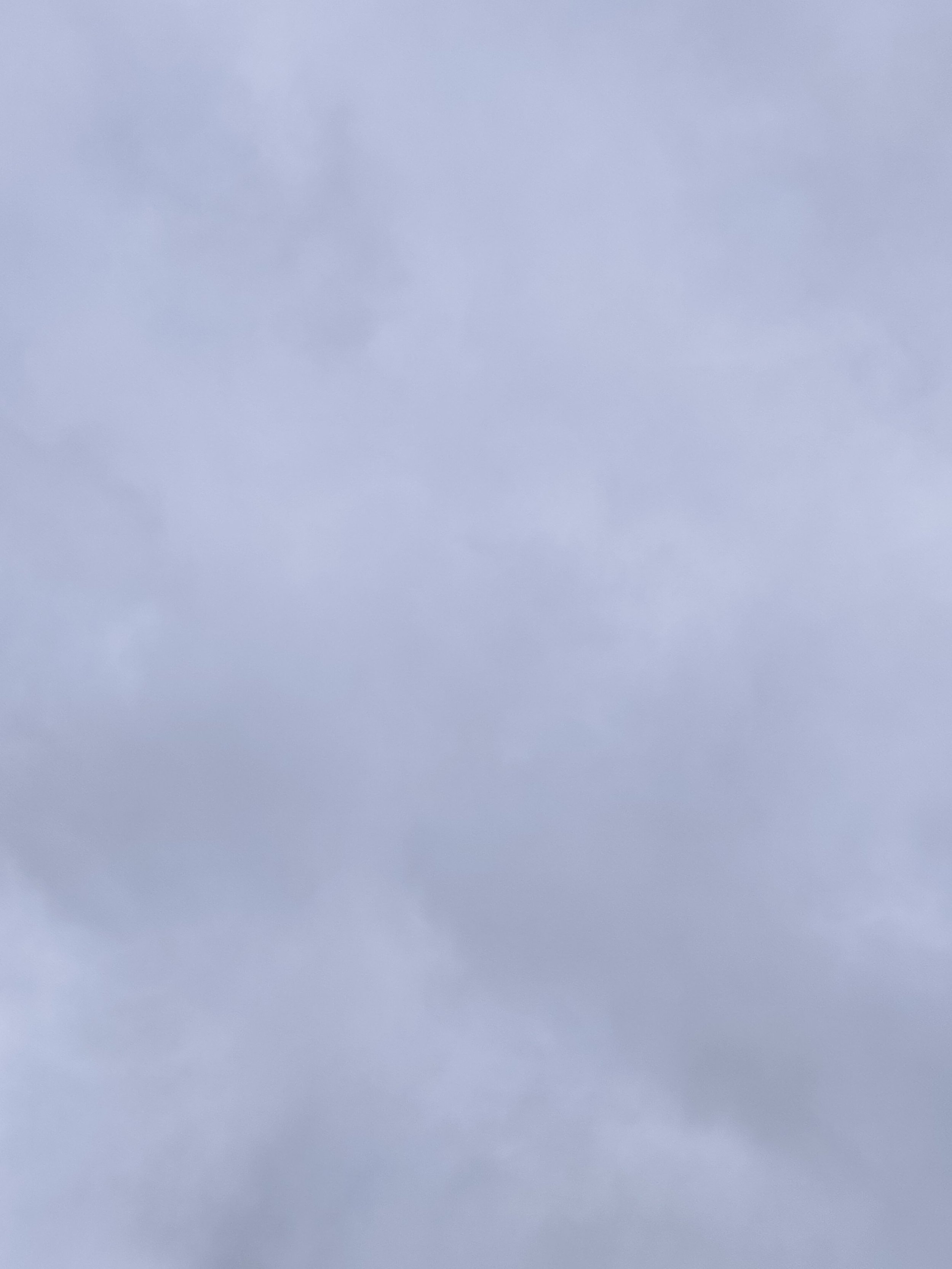31-IMG_20210301_122155.jpg