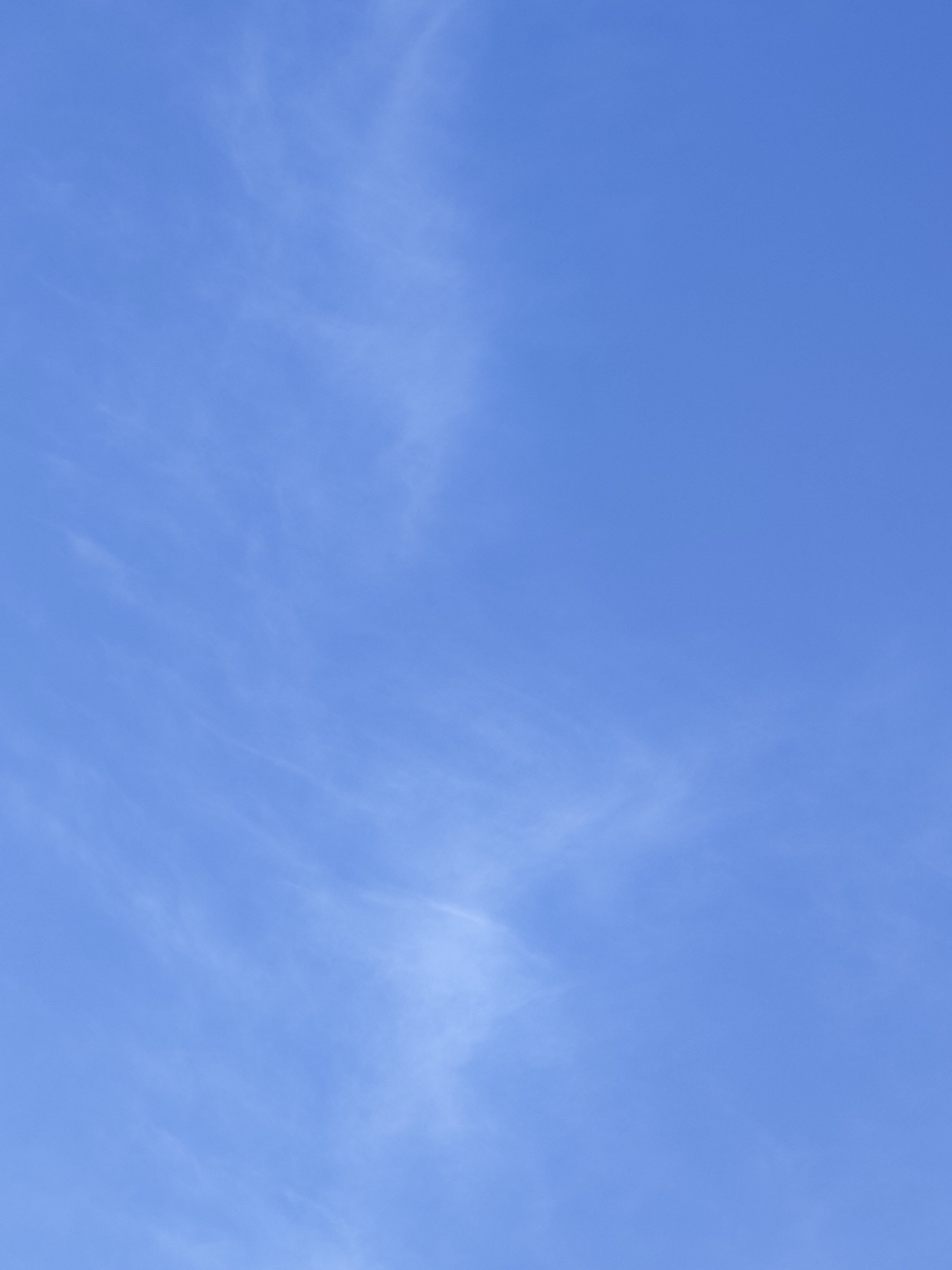 25-IMG_20210222_114223.jpg
