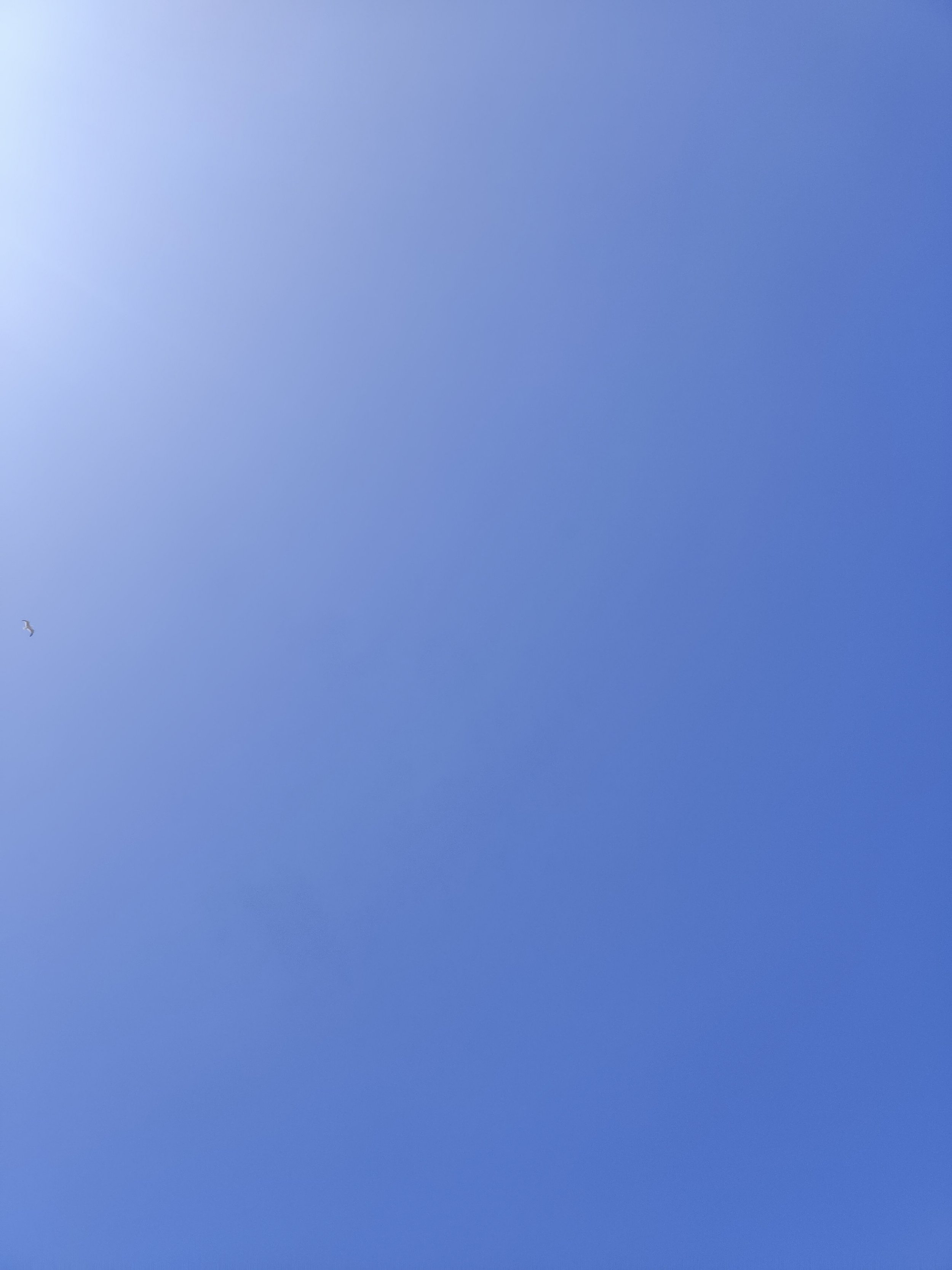 35-IMG_20210428_115904.jpg