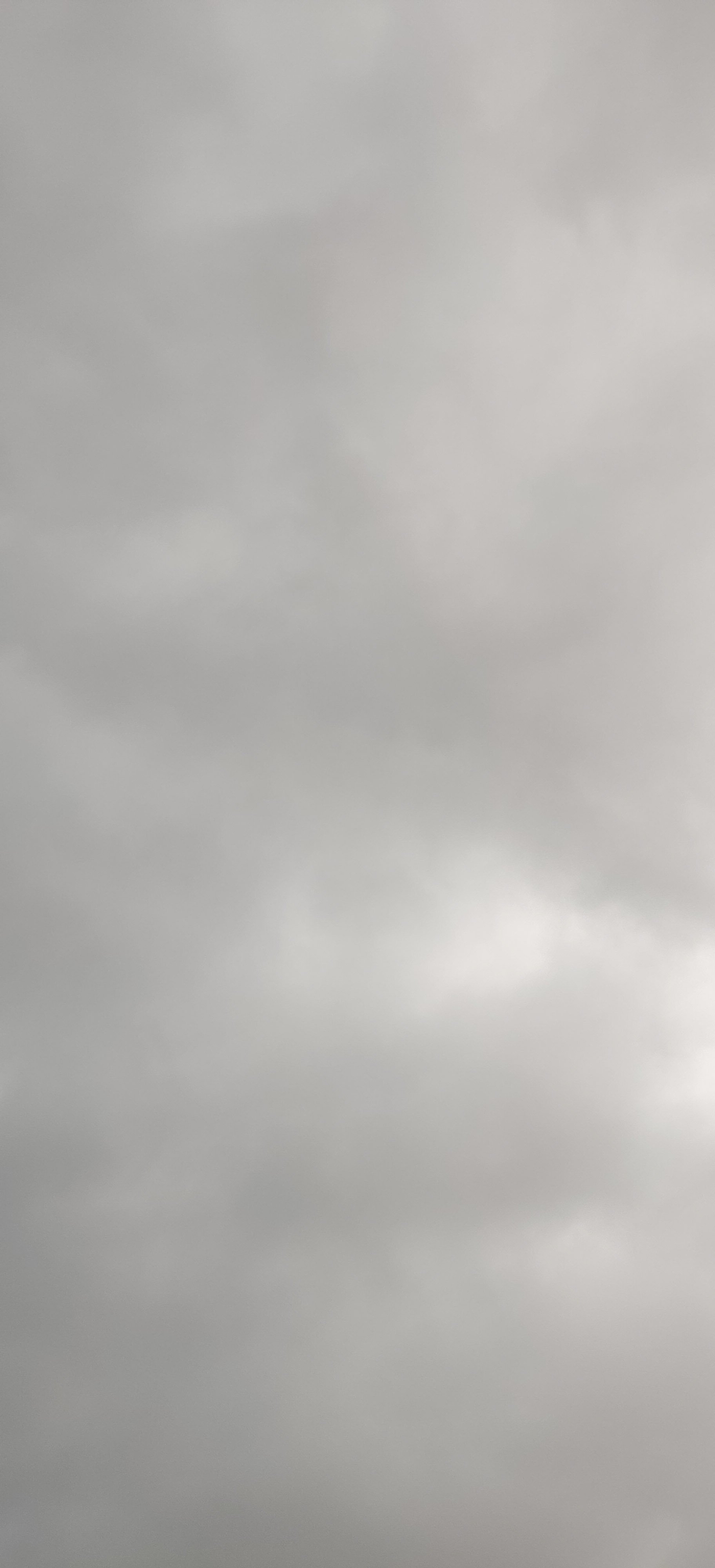 77-IMG_20230409_130115.jpg