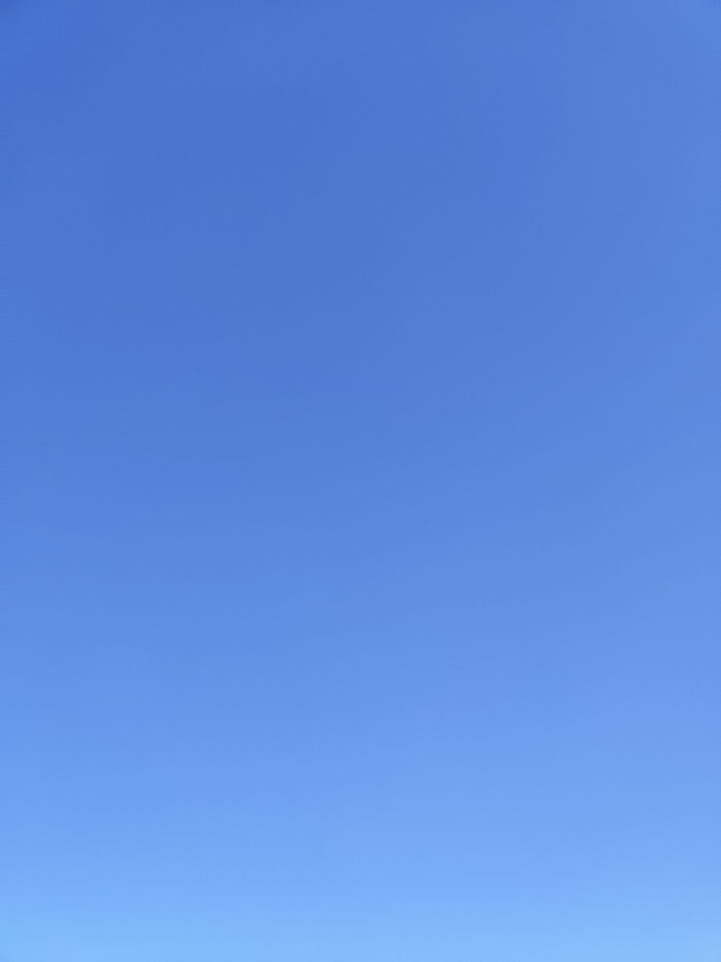34-IMG_20210314_131546.jpg