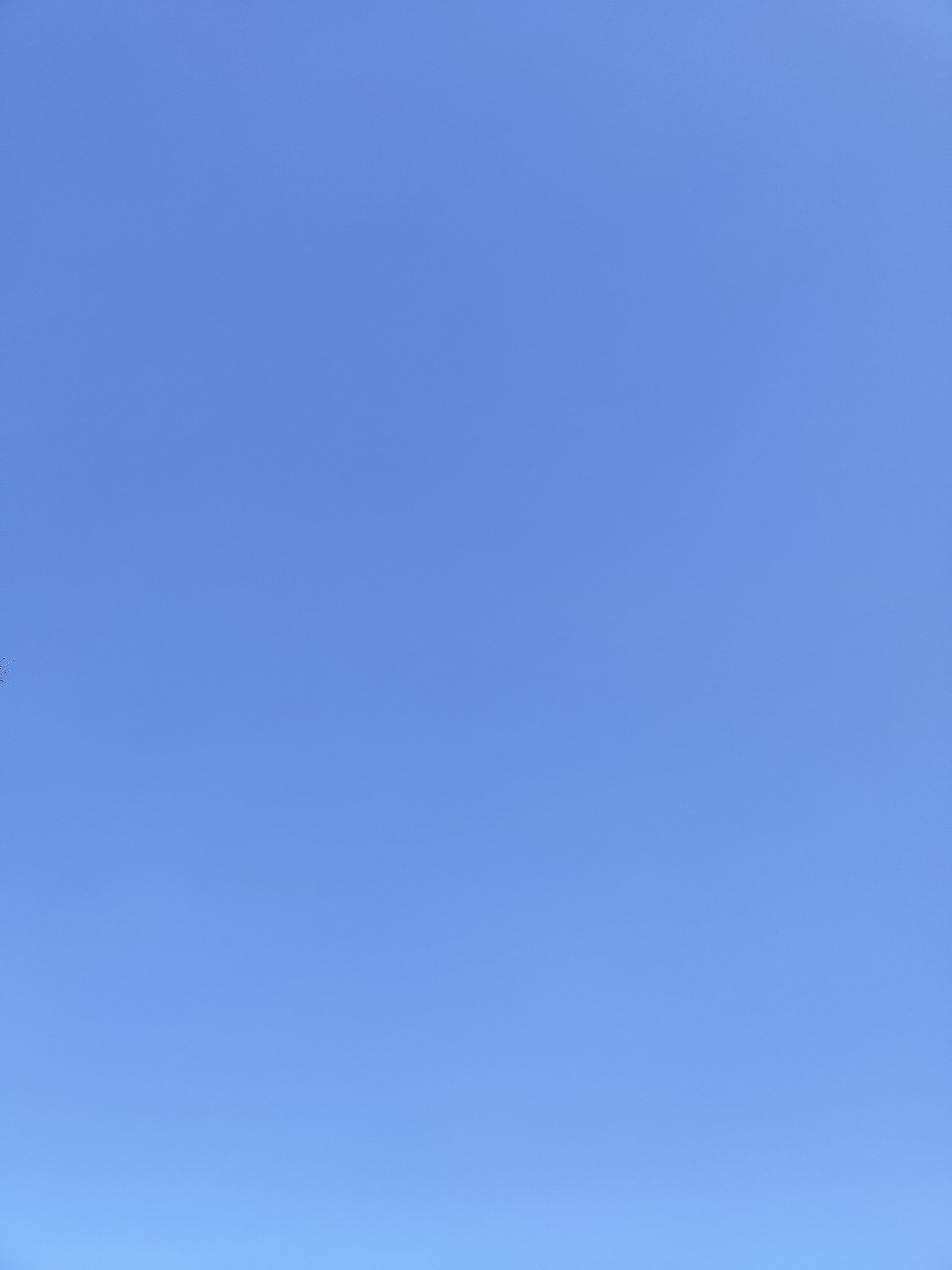 32-IMG_20210307_134214.jpg