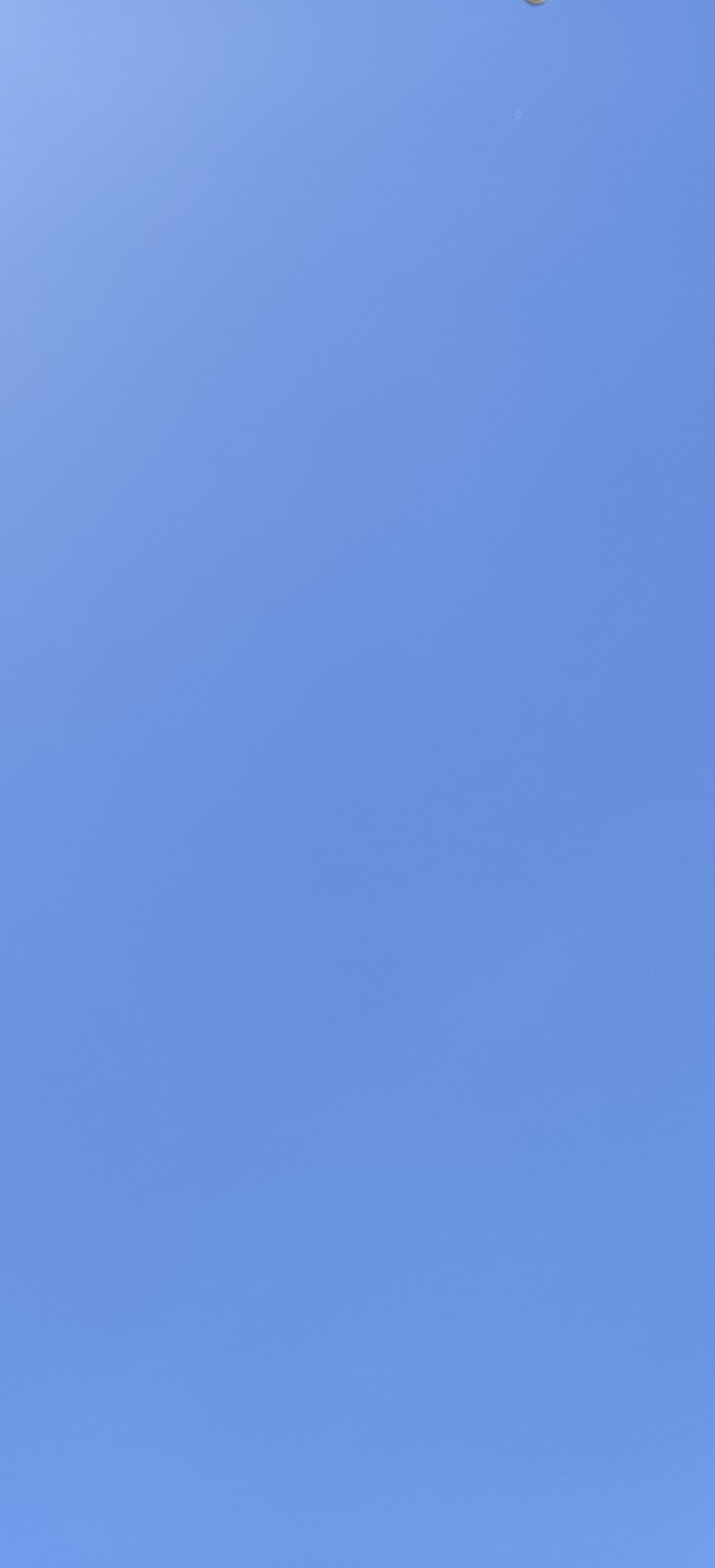 98-IMG_20230425_134535.jpg