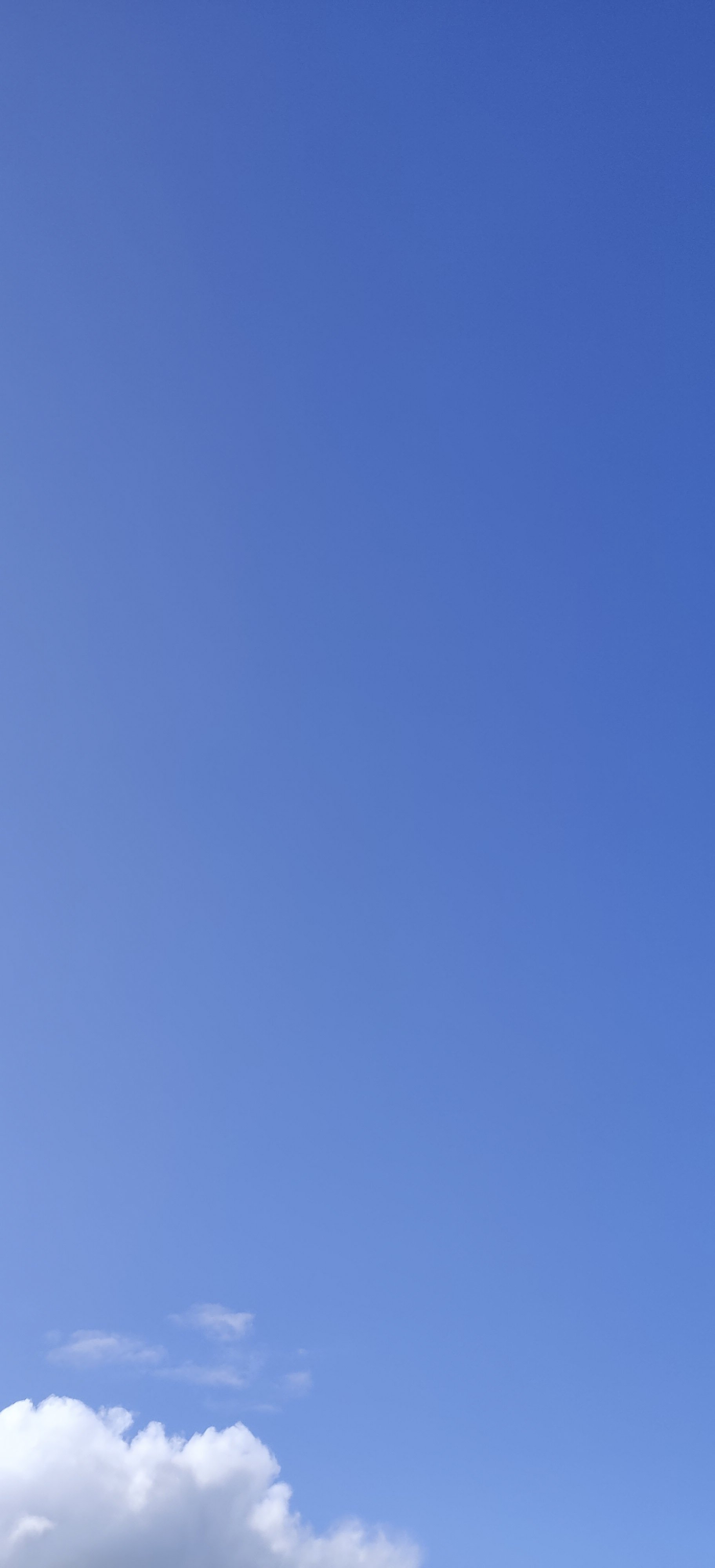 72-IMG_20230406_104537.jpg