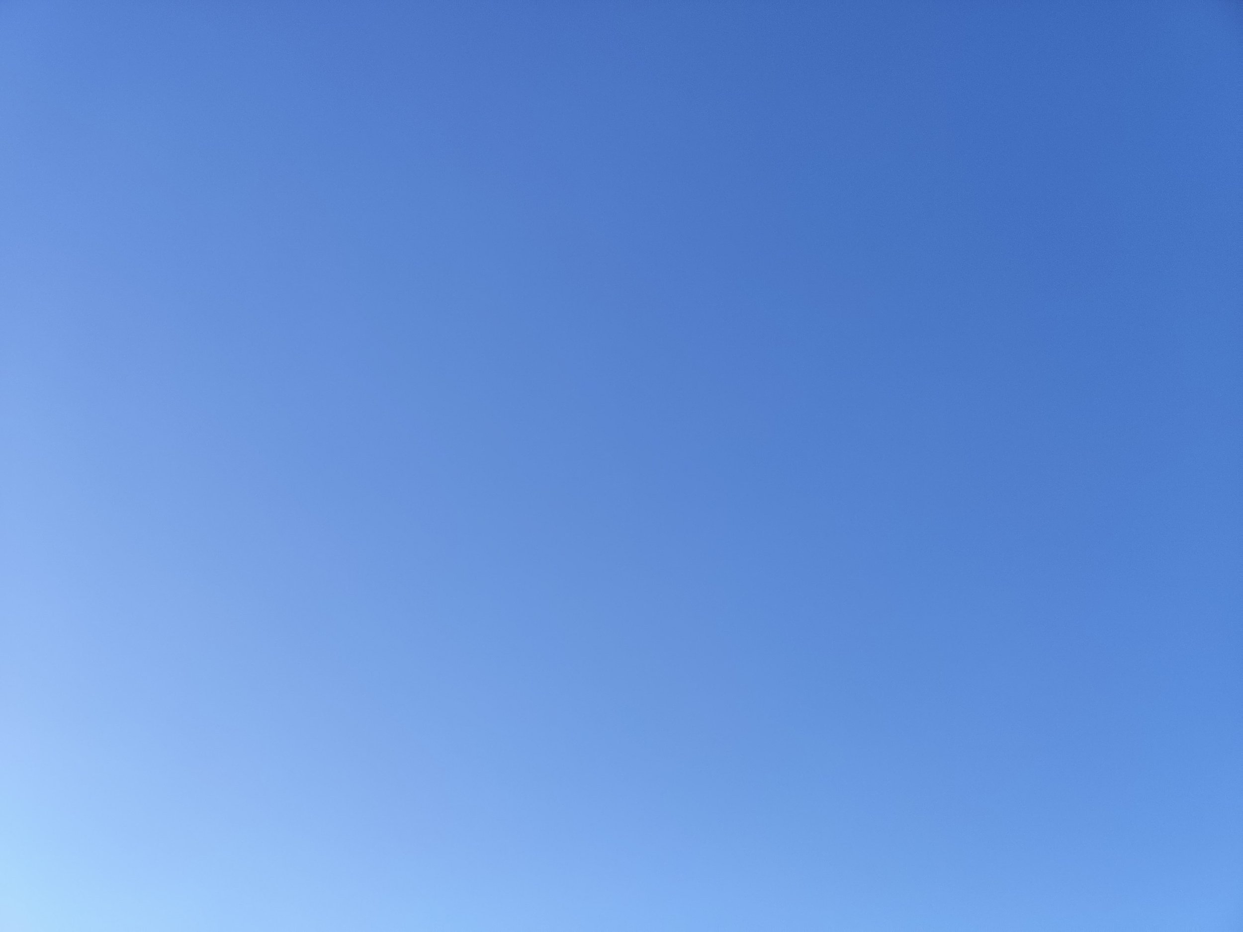 10-IMG_20210128_144554.jpg