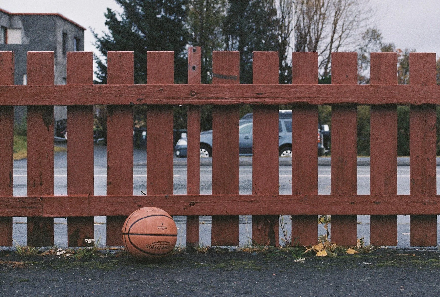 Saedis - 3090_2_R1-06008-026A1666014749165.jpg