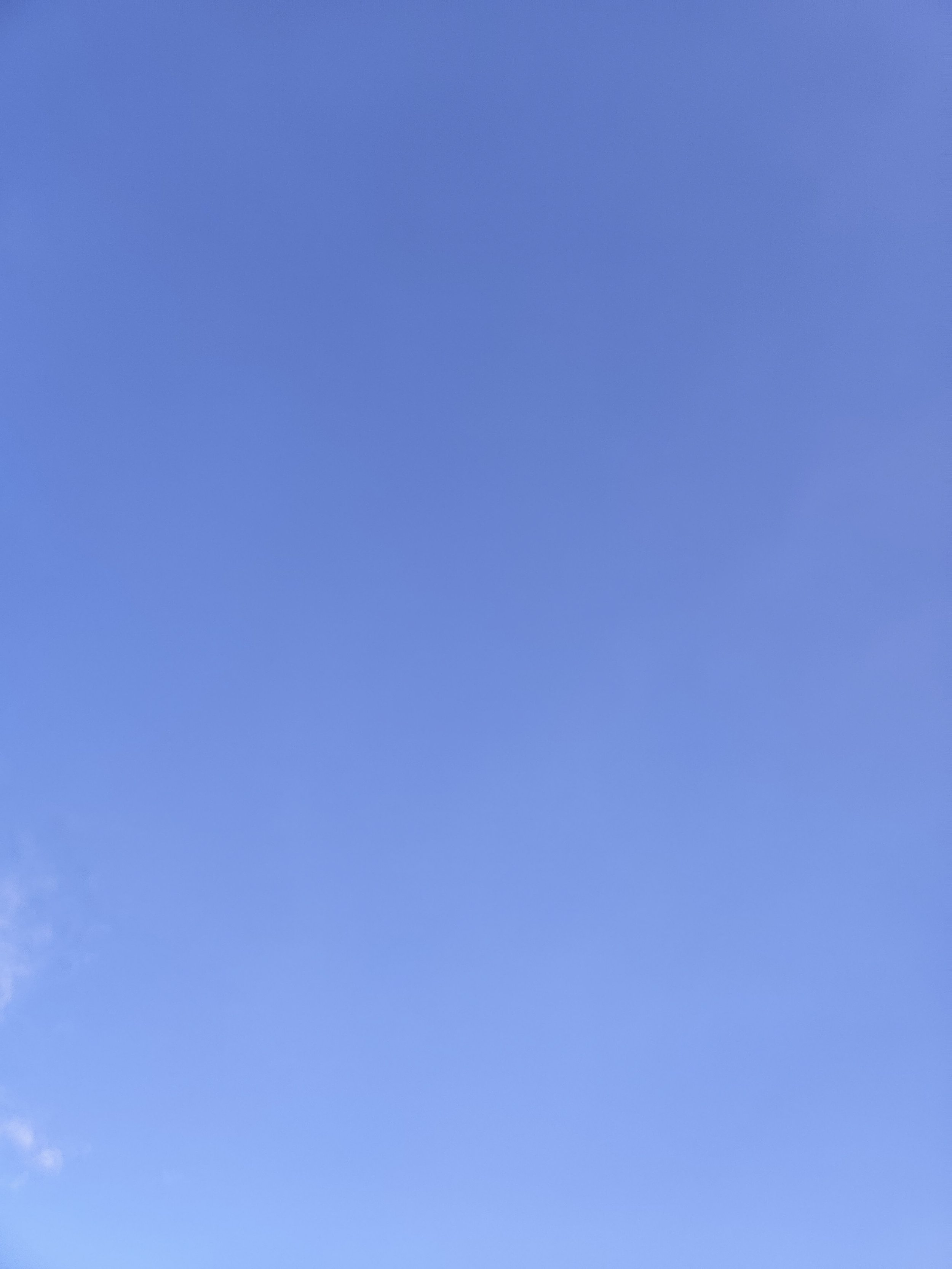 42-IMG_20230310_181315.jpg