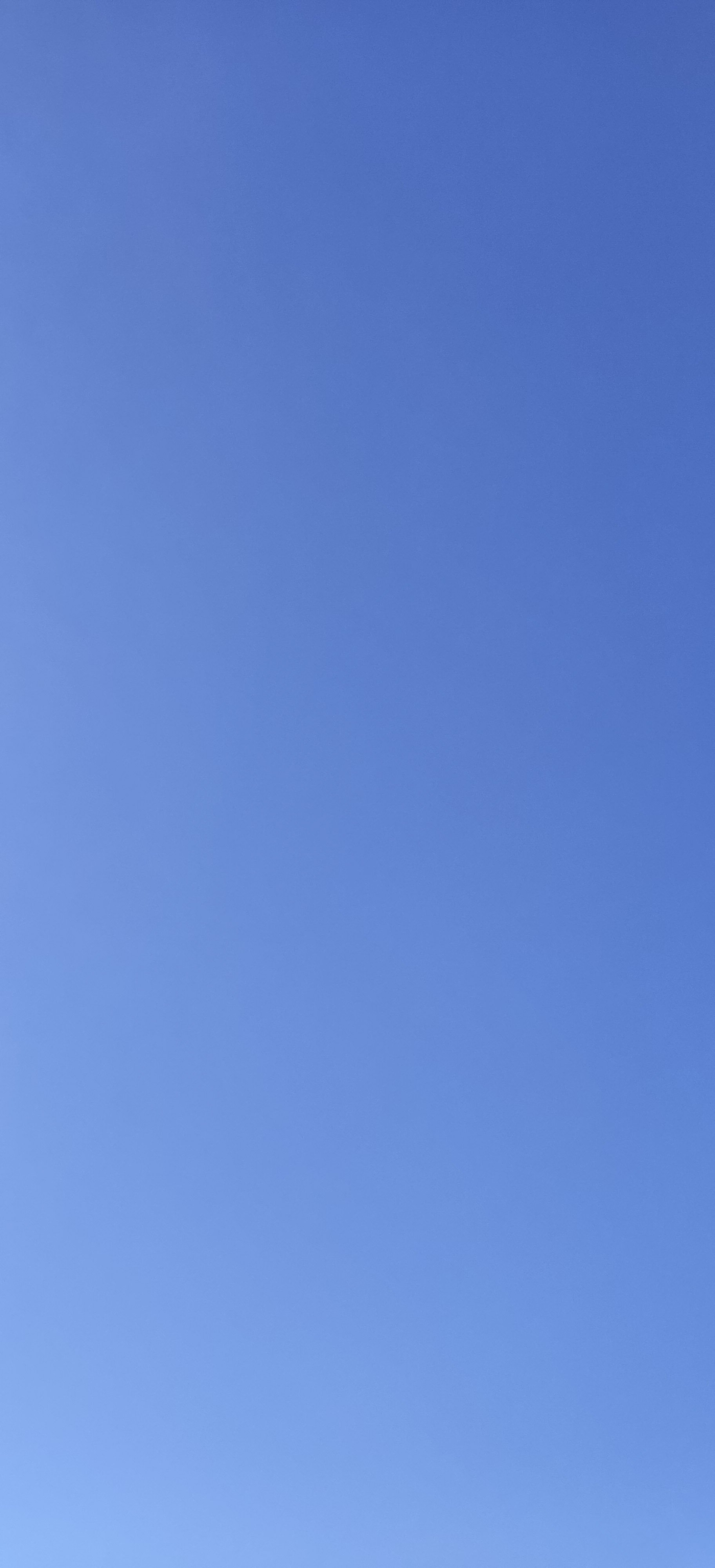 66-IMG_20230326_135209.jpg
