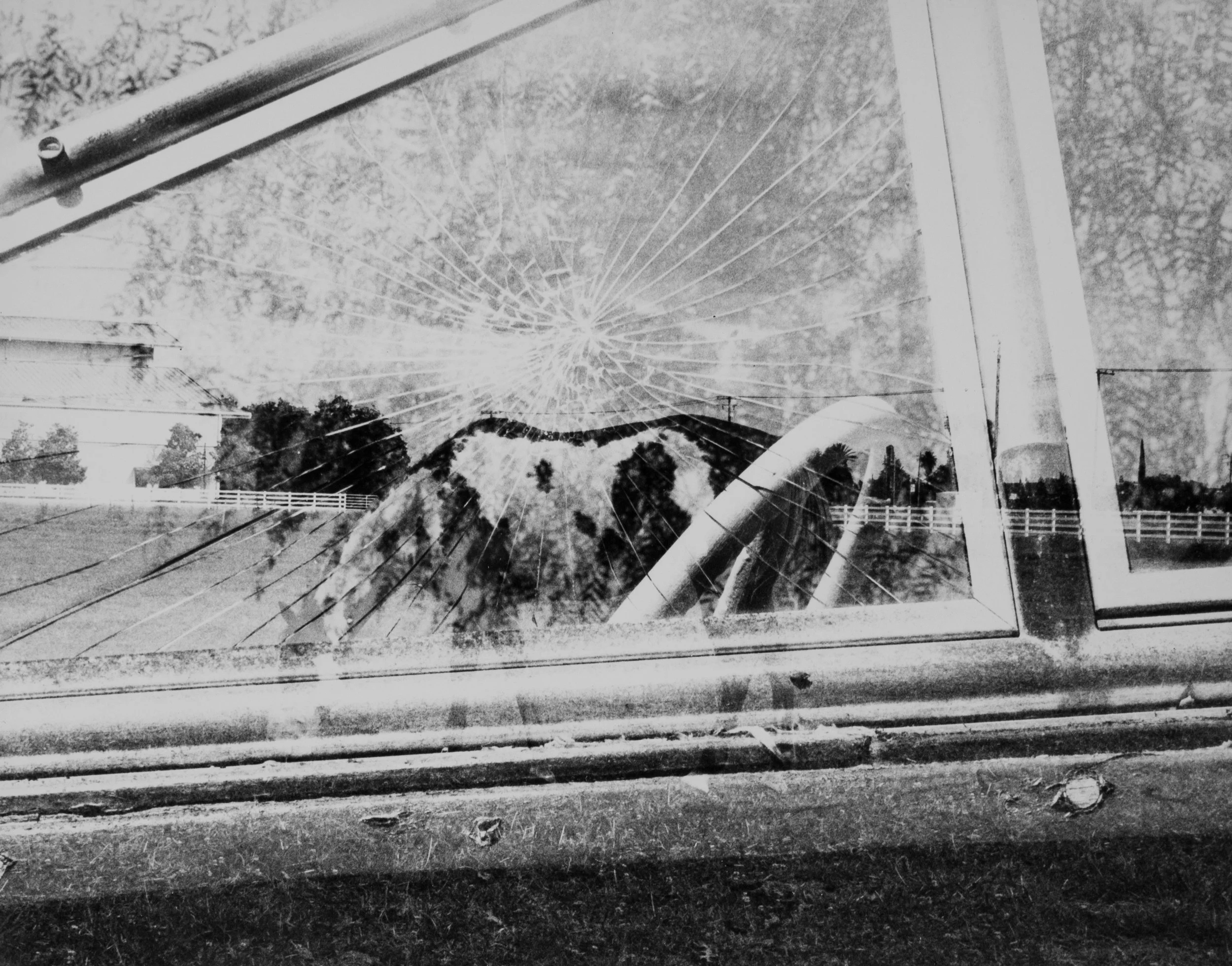 Shattered Nature (Photography - 8" x 10"  - $150 USD - USA) Vivian Mei