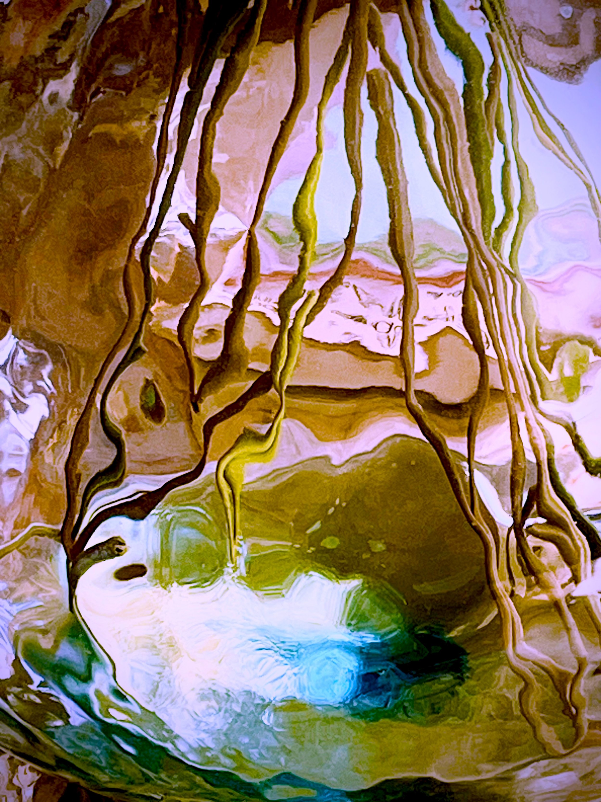 Through the Looking Glass (Photography - 32" x 24" x 1" - $800 USD - USA) Karen Safer