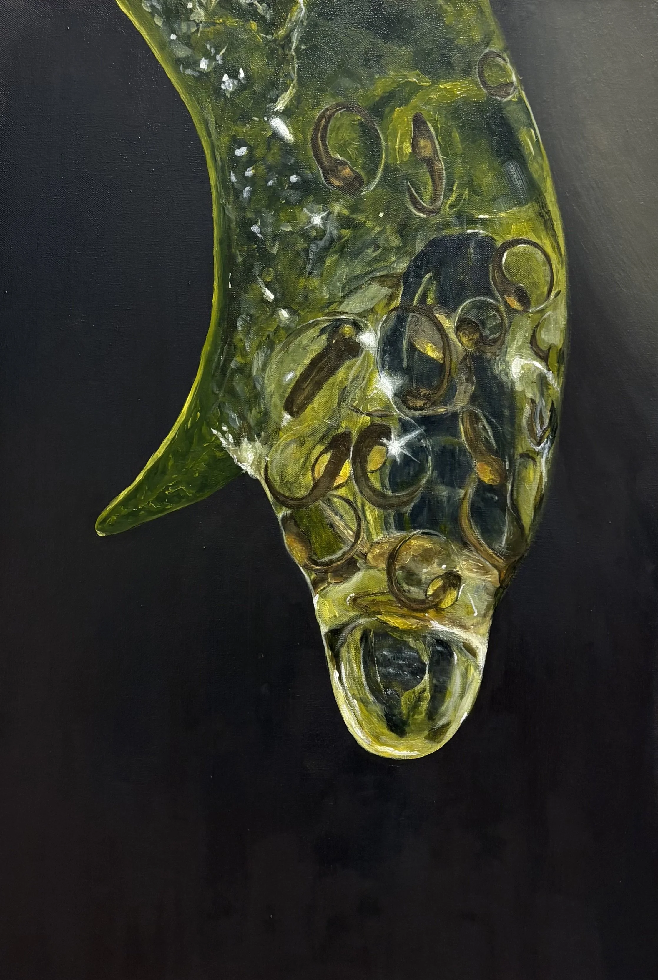 Frogspawn (Painting - 36" x 24" x 3" - USA) Sarah Allan Straight