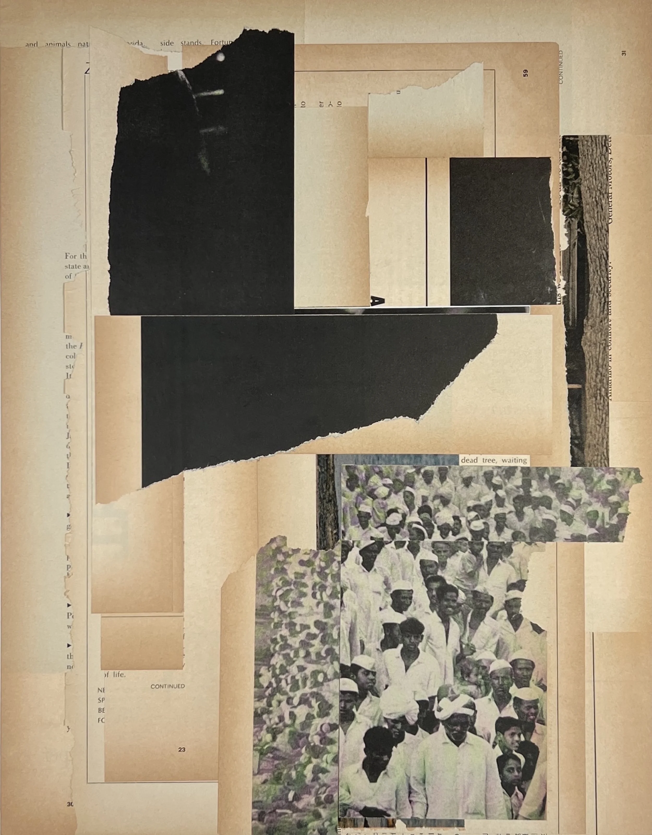 dead tree, waiting (Unique Medium - 14" x 11" - $325 USD - USA) Brad Terhune