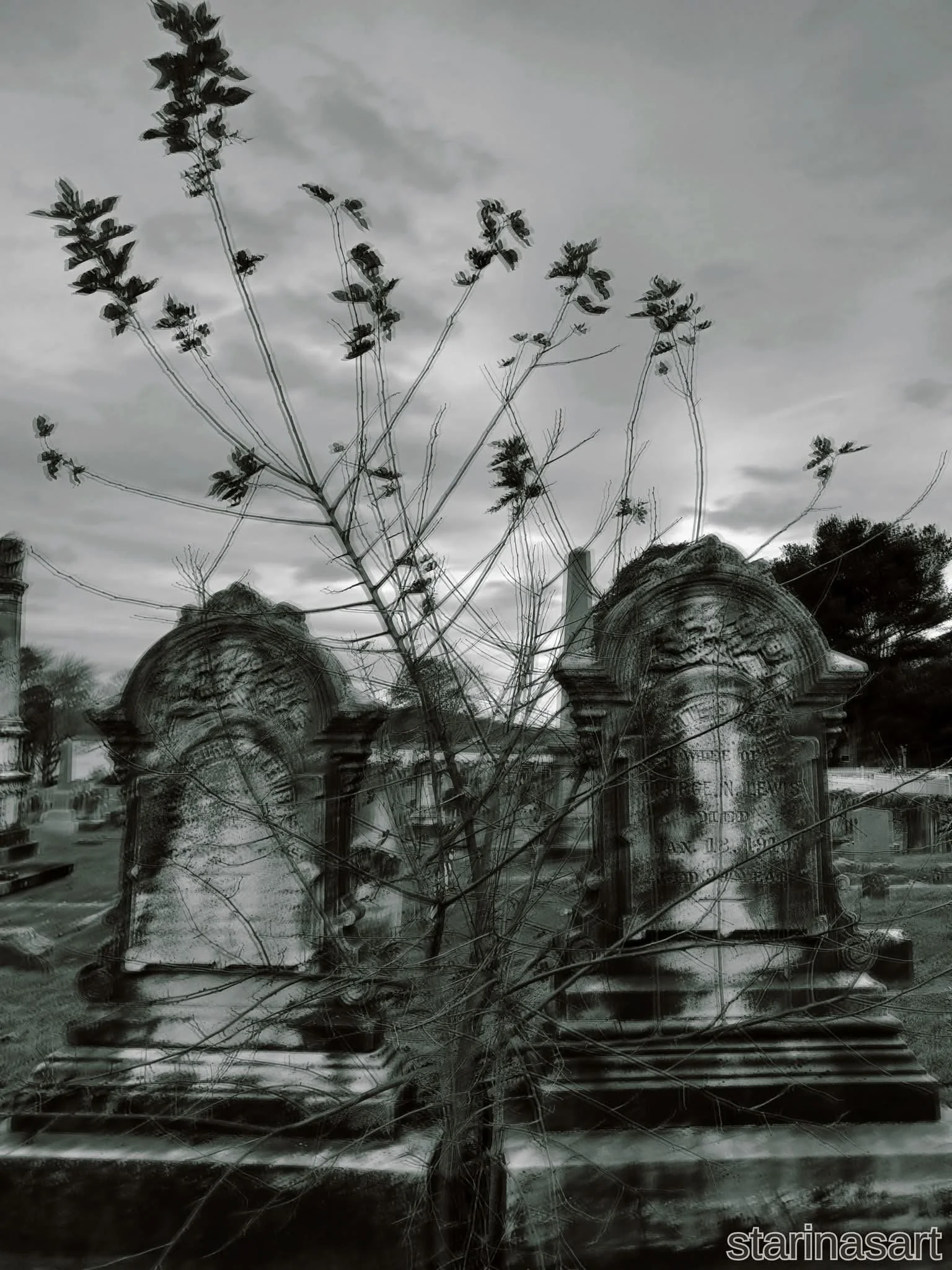 We Could Have Spent Eternity Together (Mixed Media - USA) - Veronica McLaren