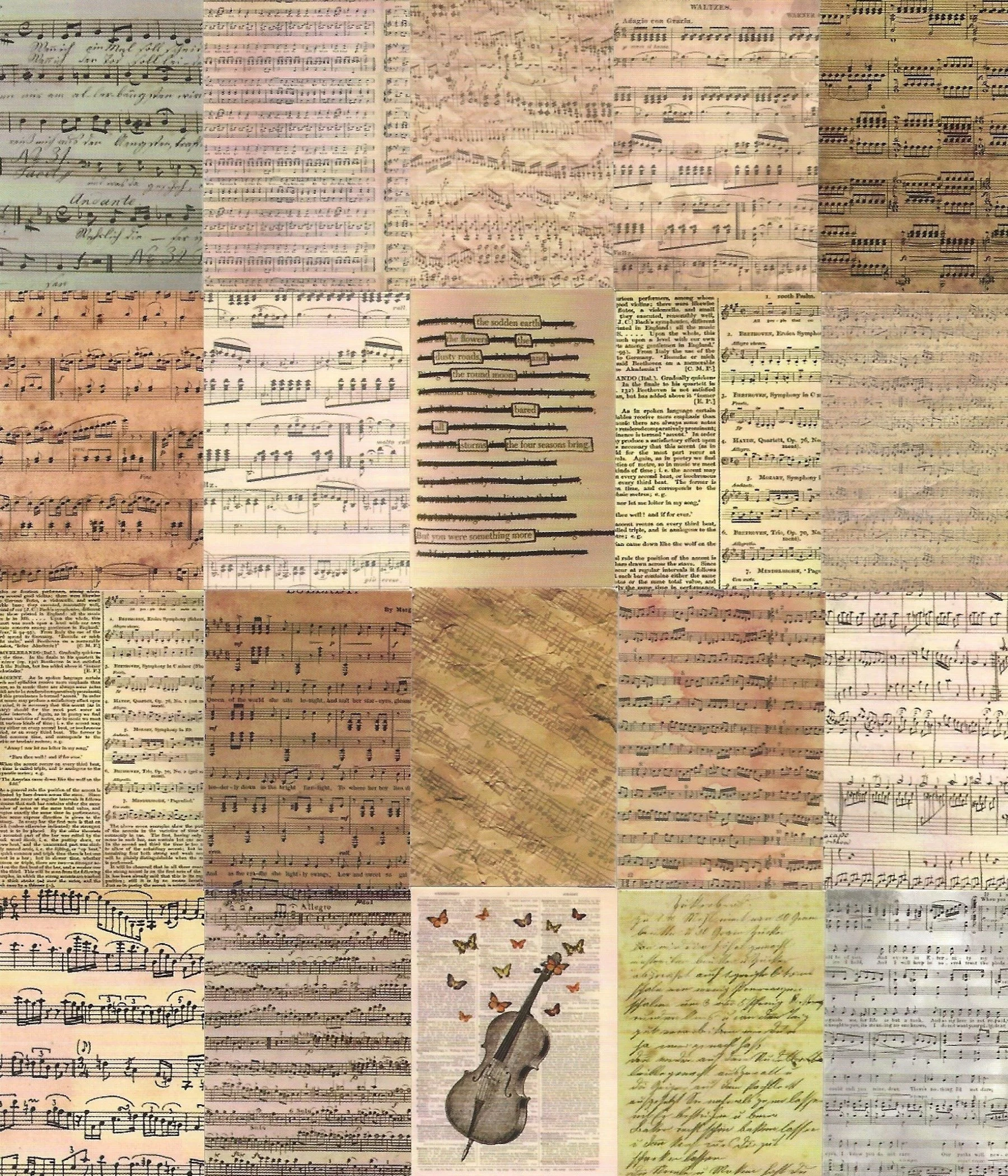 Cello with Butterflies (Medium and size not available - USA) Mary Hope Lee