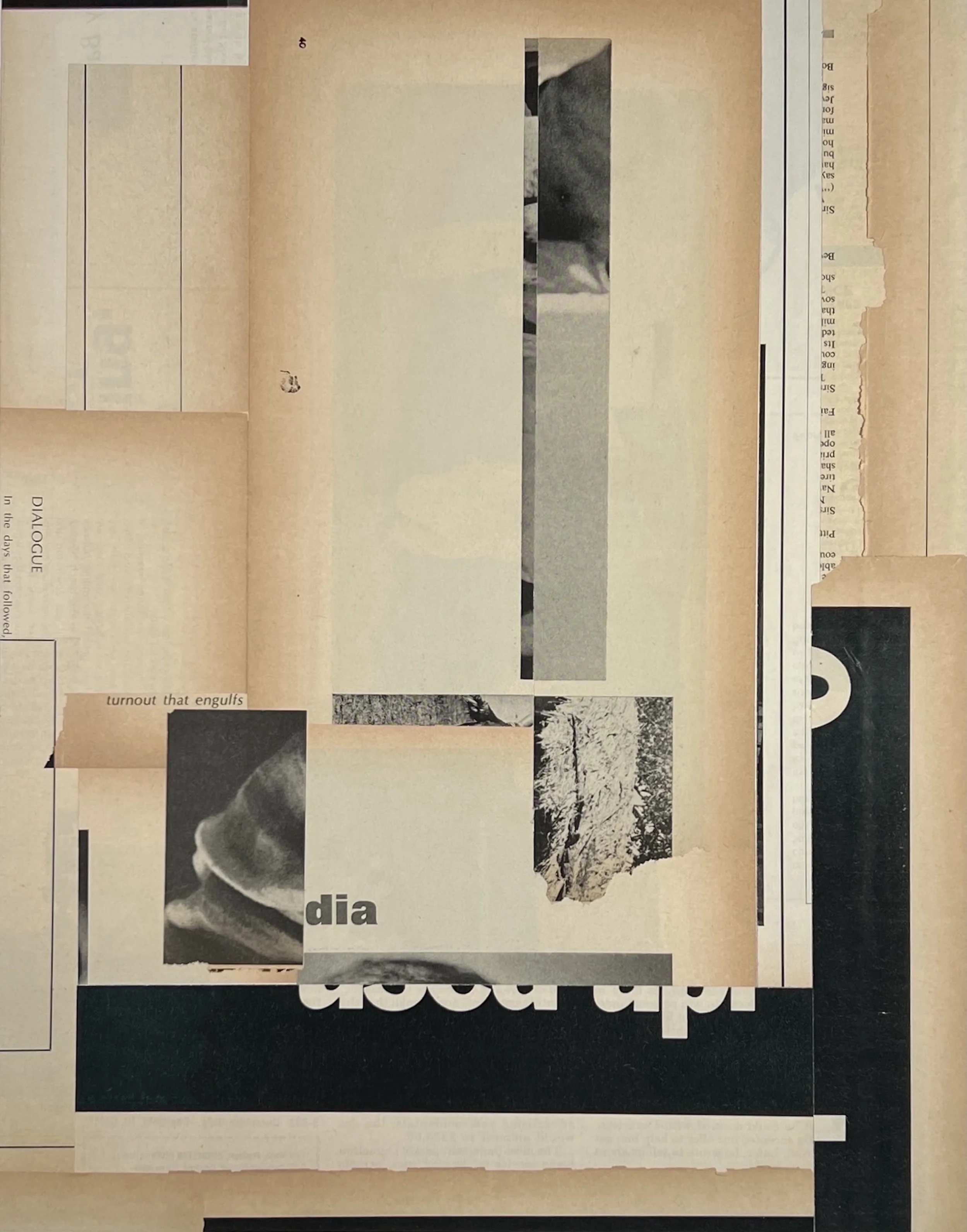 turnout that engulfs (Unique Medium - 14" x 11" - $325 USD - USA) Brad Terhune