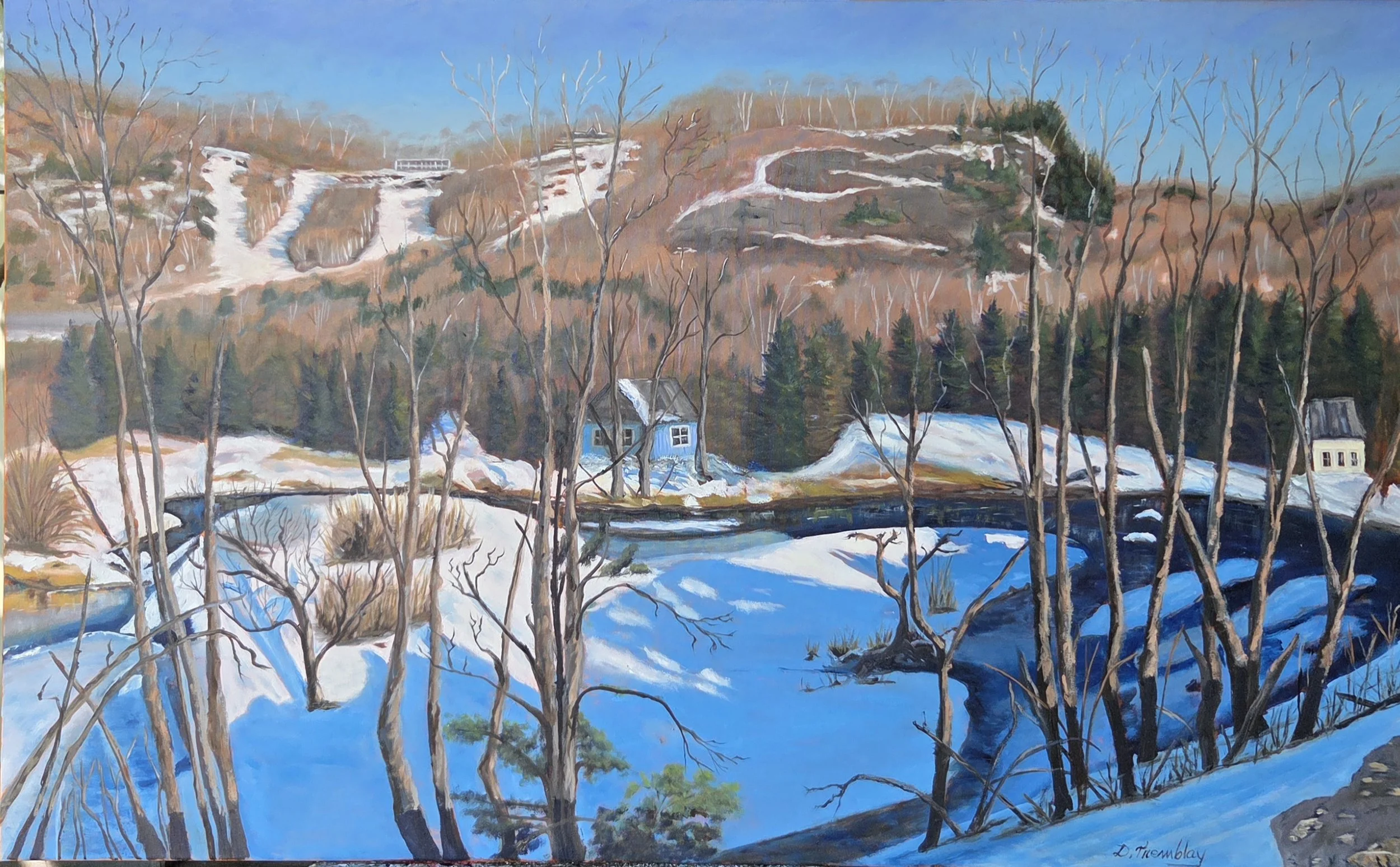 Mt Gabriel (Painting - $4300 - 30" x 48") - Danielle Tremblay