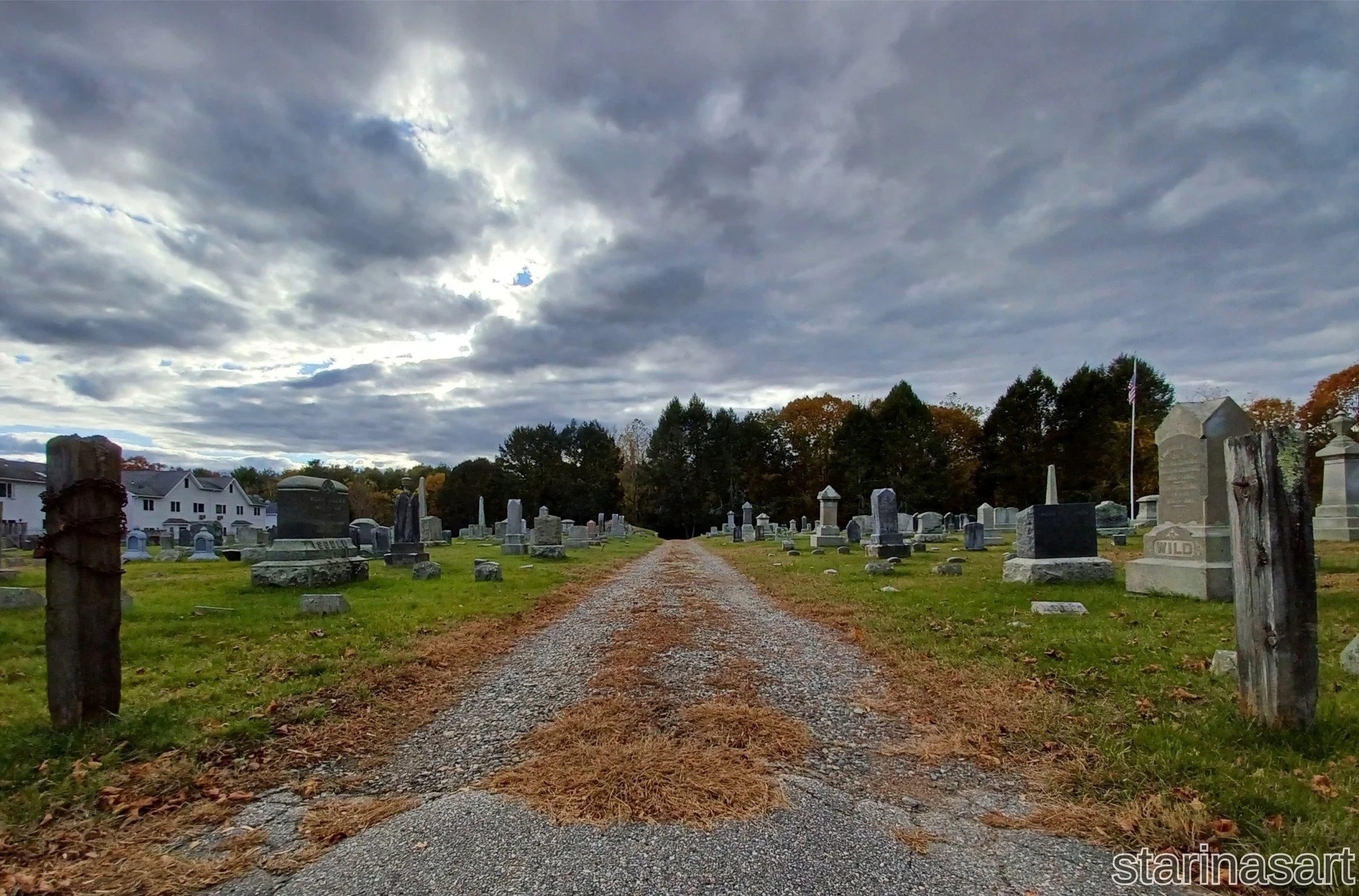 Entry (Photography - USA) Veronica McLaren