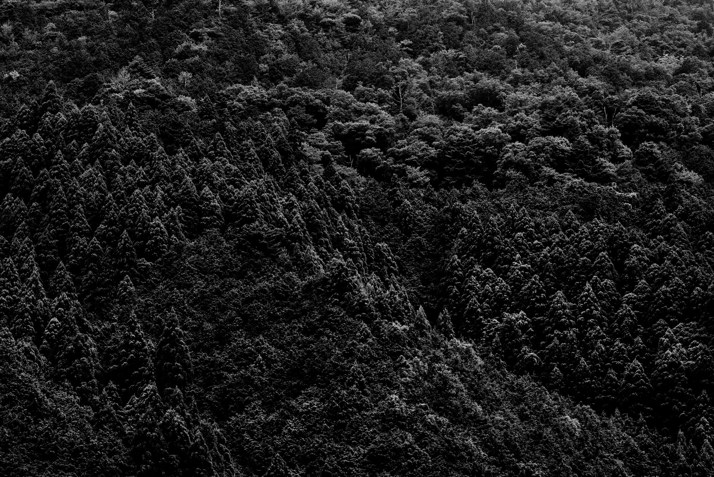 Peitto / A veil (Photography - 50cm x 60cm  - 500€ - Finland) Julius Töyrylä