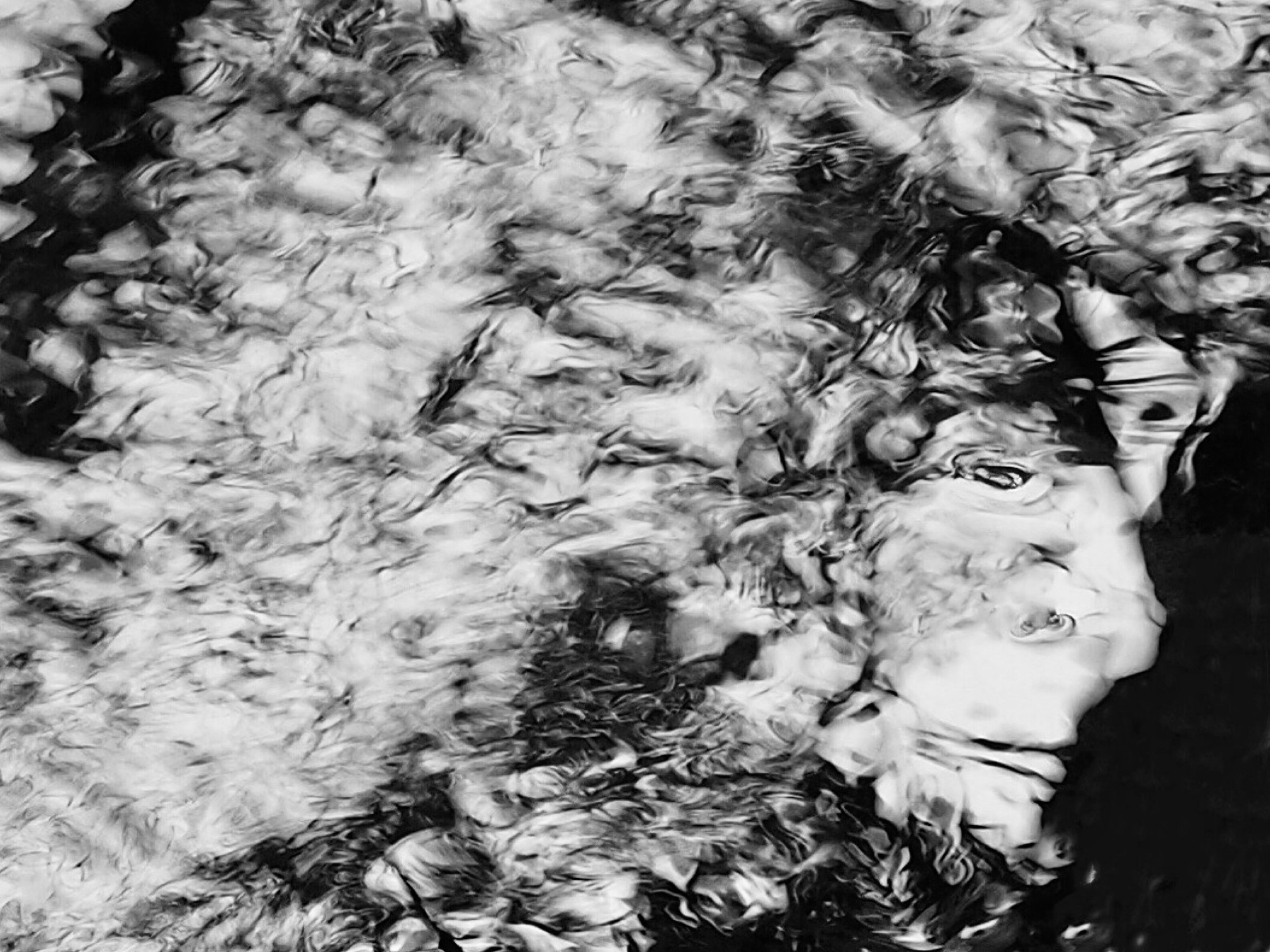 Man in sheep’s clothing (Photography - 12" x 9"  - $350 CAD - Canada) Kathy Granger Tucker